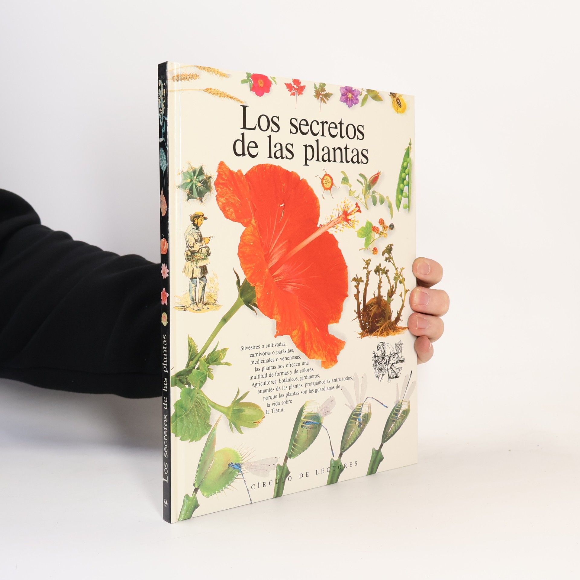 Steve Parker Los secretos de las plantas