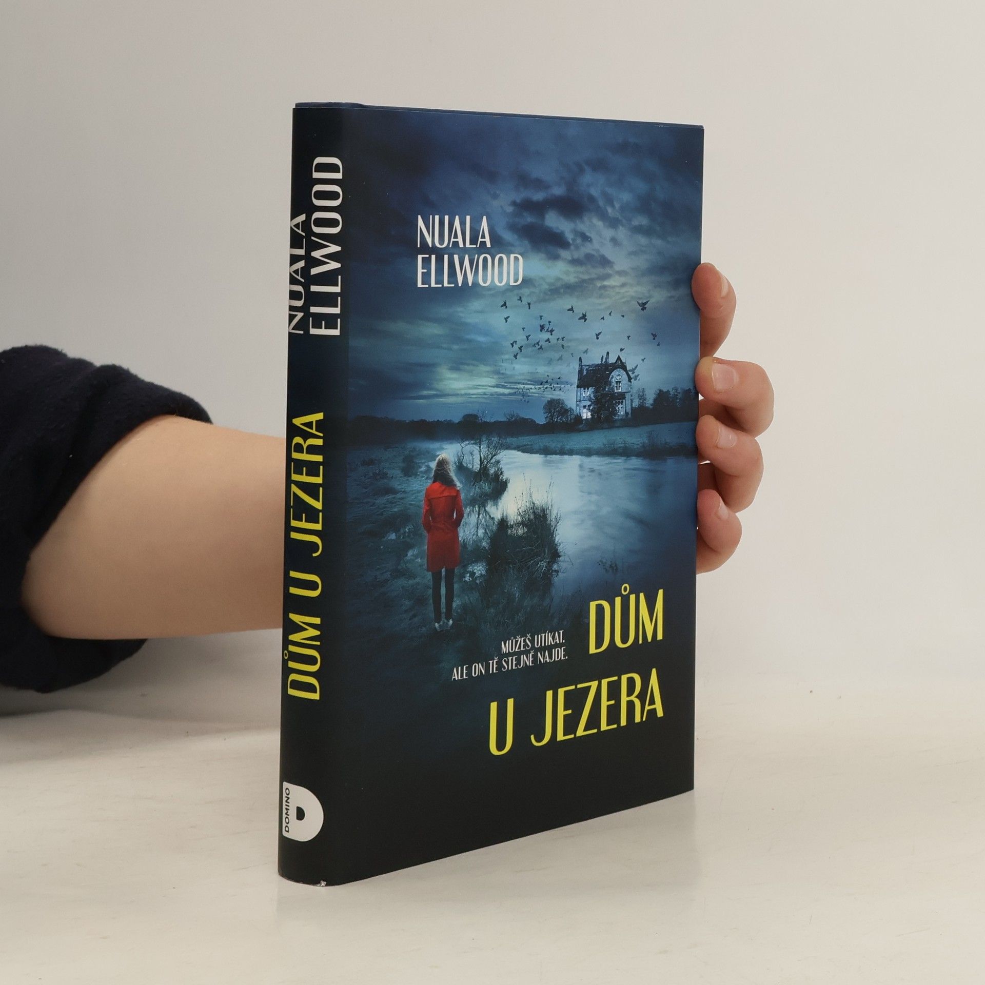 Nuala Ellwood Dům u jezera