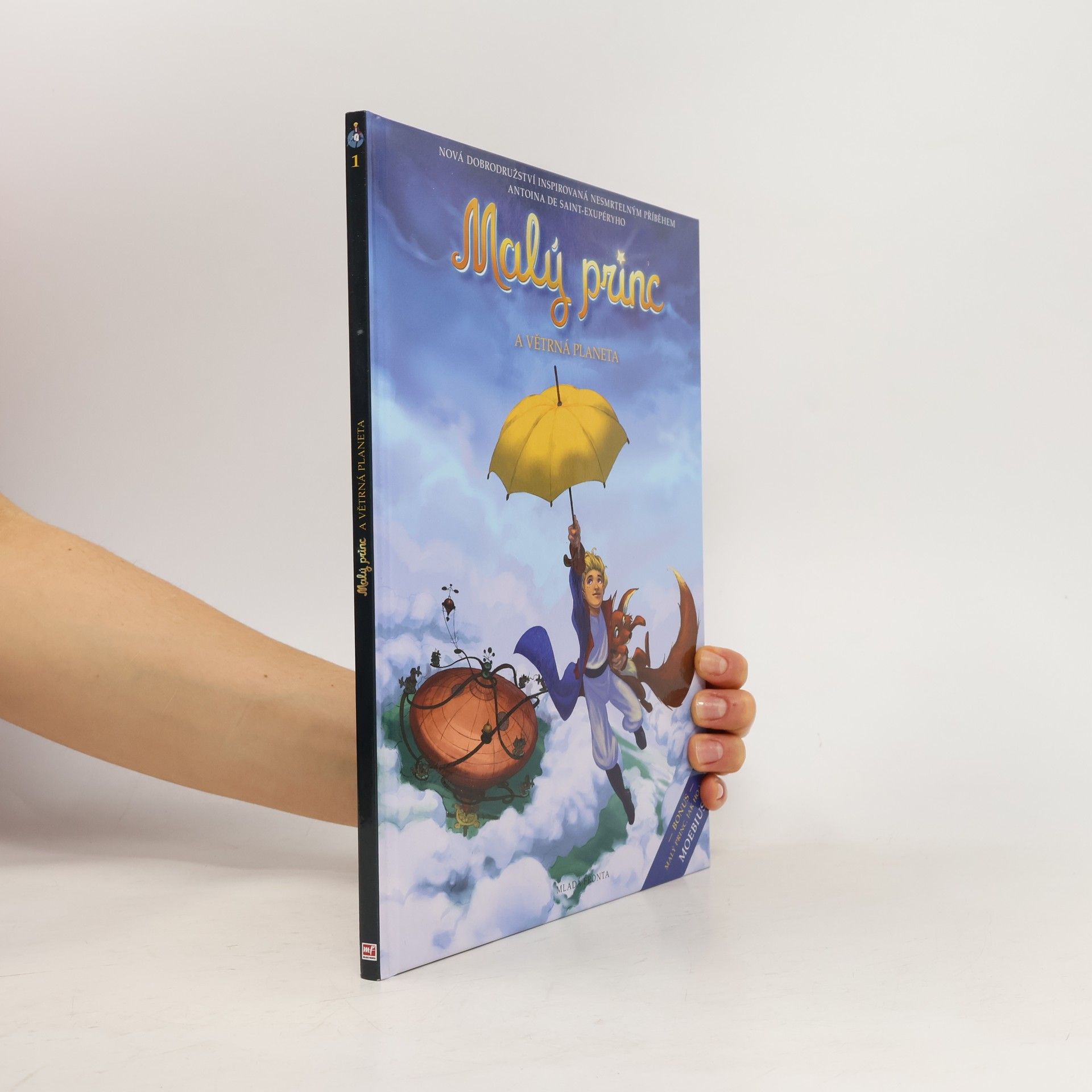 Autorenkollektiv Malý princ a Větrná planeta