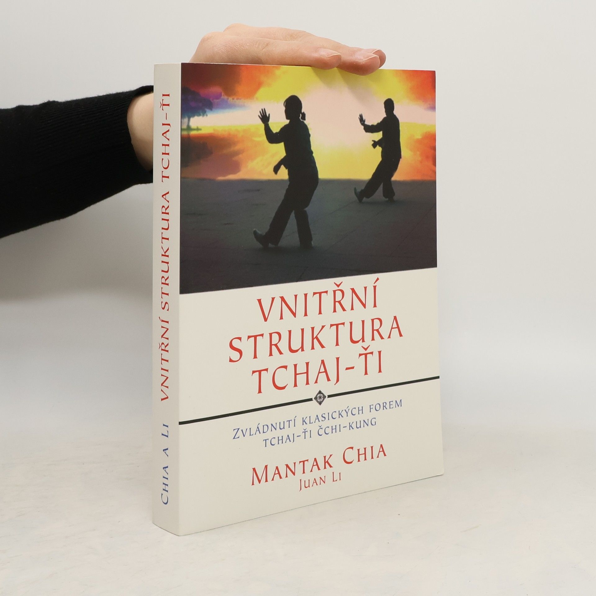 Mantak Chia Vnitřní struktura Tchaj-ťi