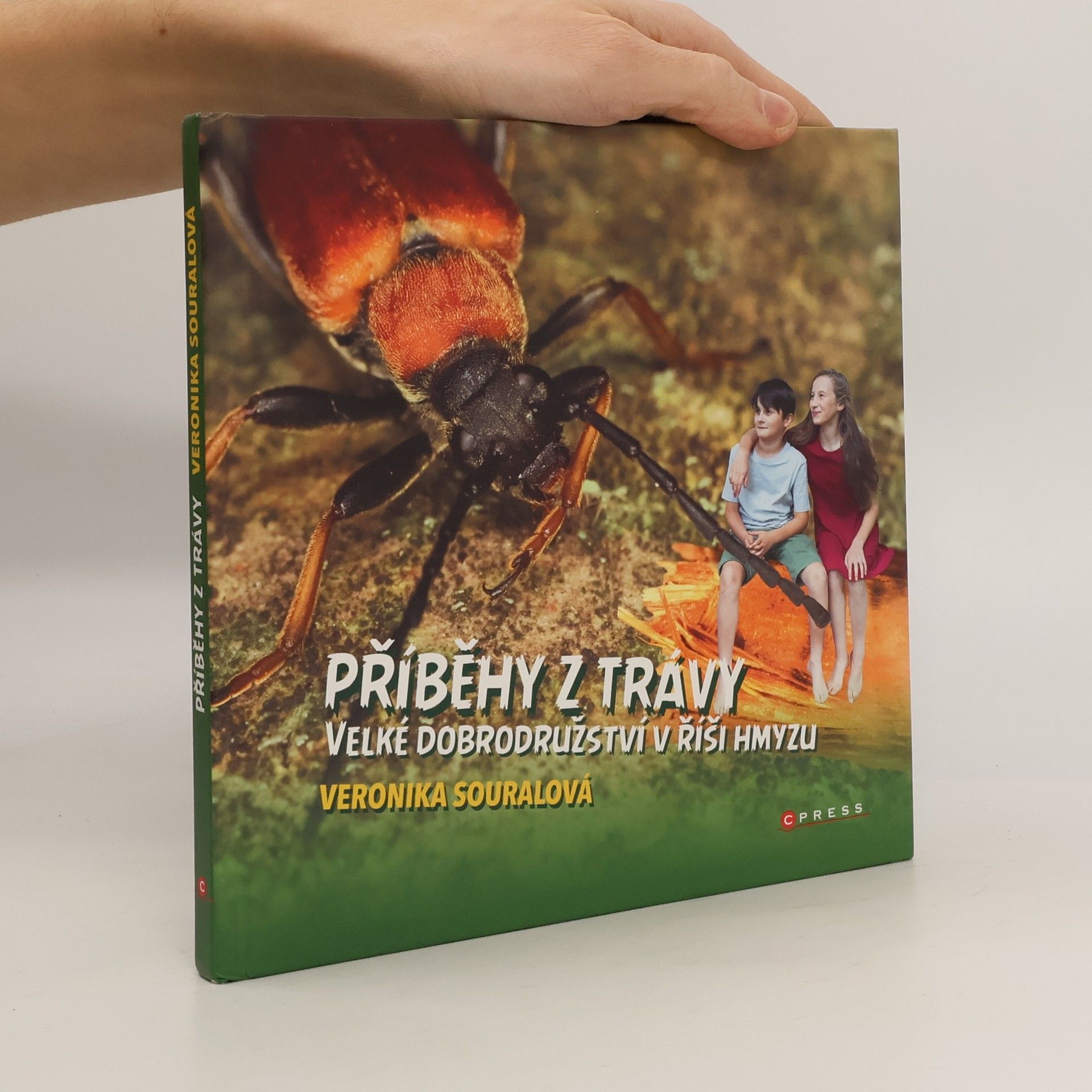 Příběhy z trávy : velké dobrodružství v říši hmyzu