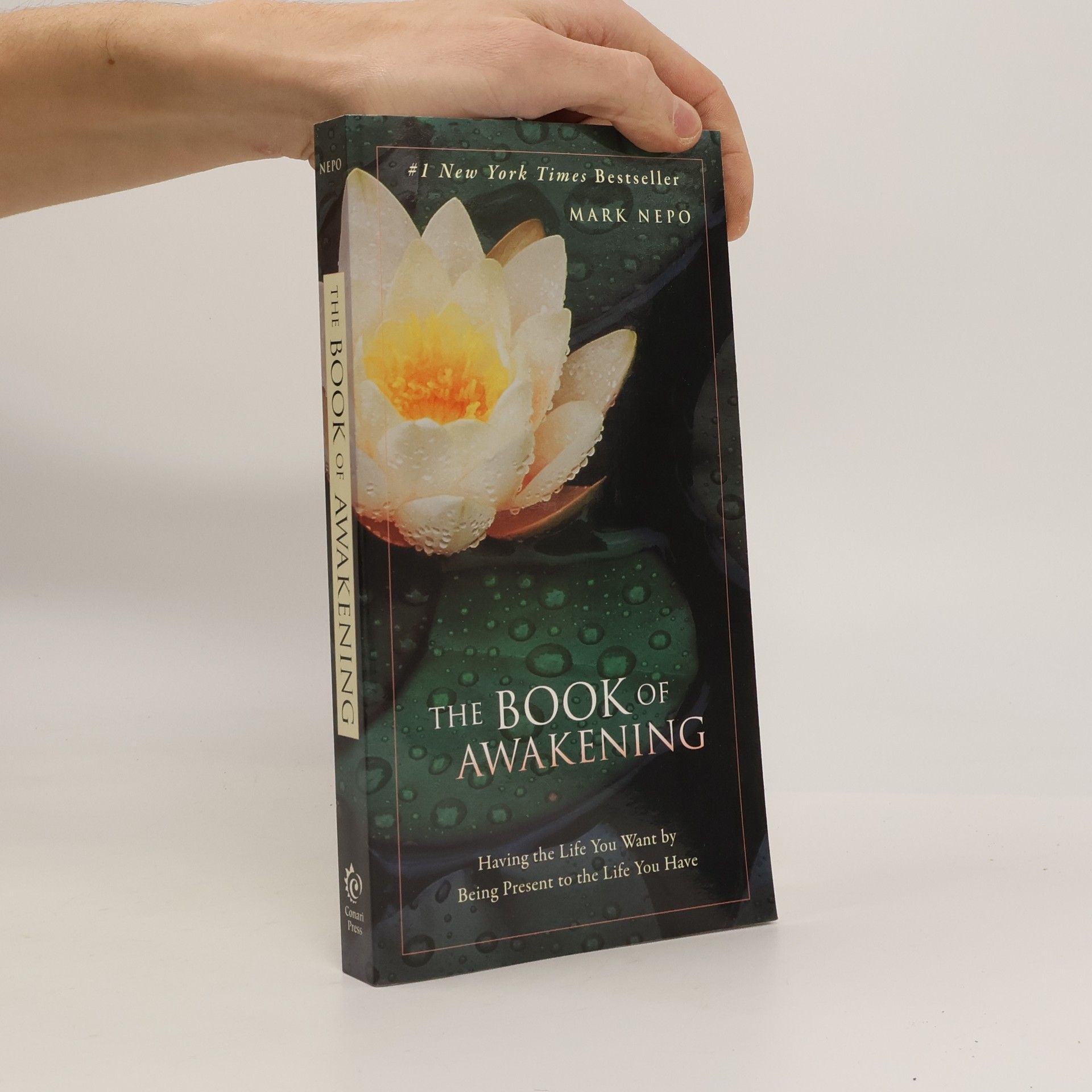 The Book of Awakening