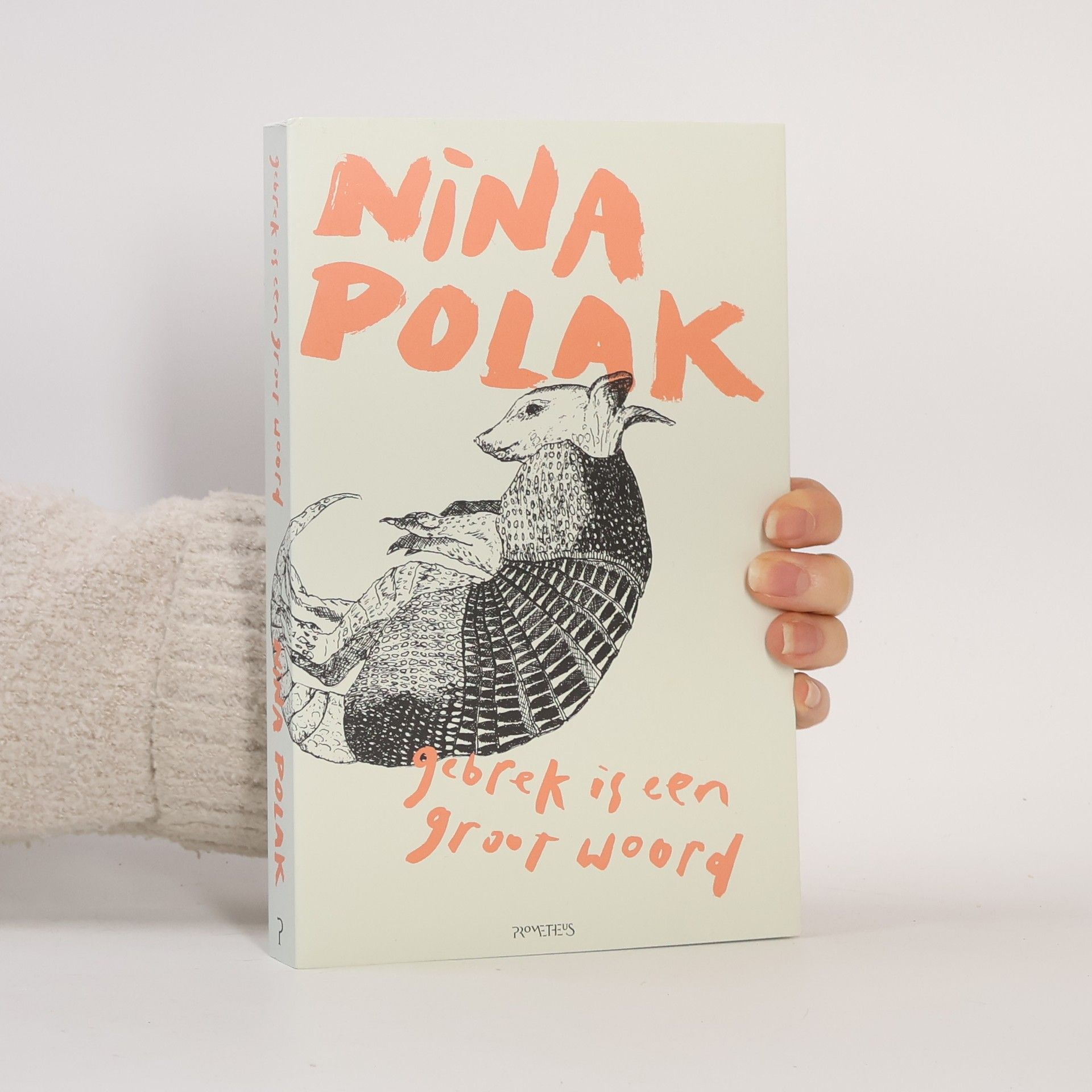 Nina Polak Gebrek is een groot woord