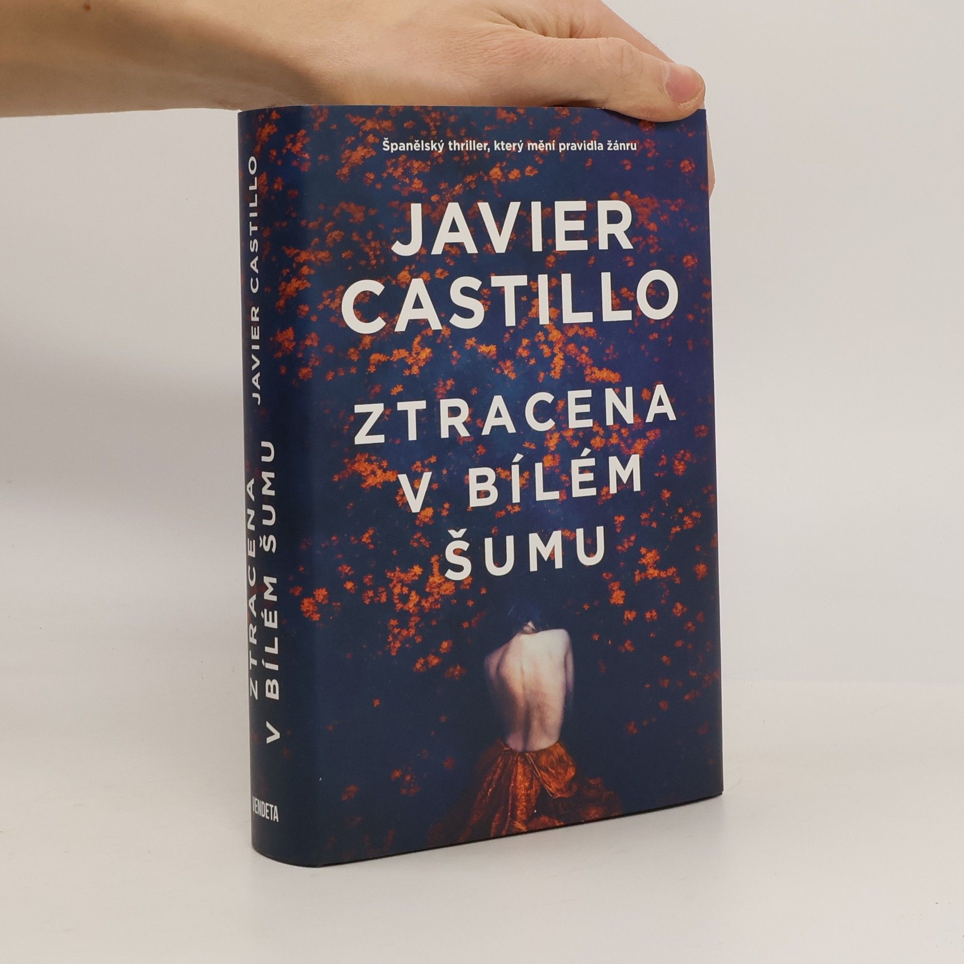 Javier Castillo Ztracena v bílém šumu