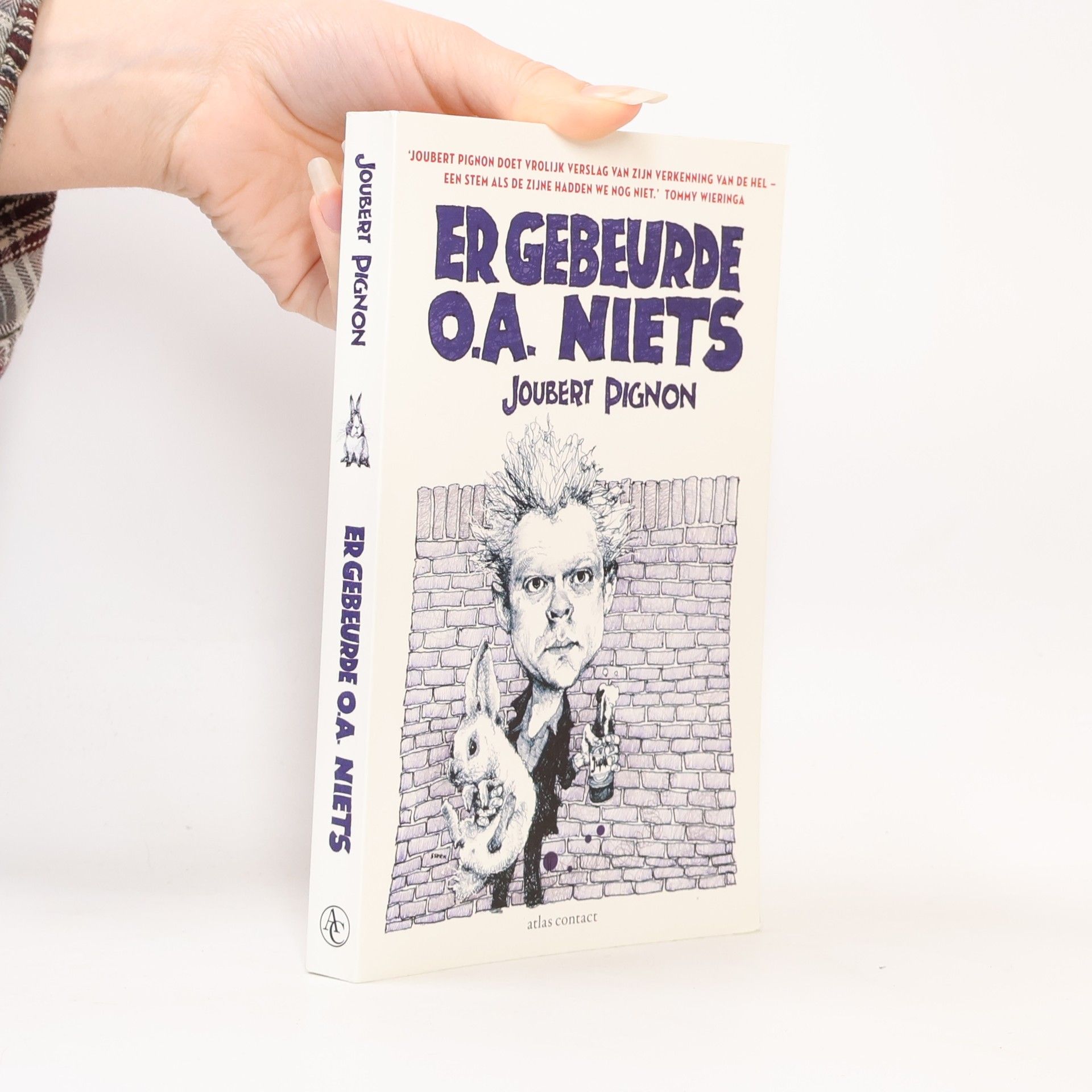 Joubert Pignon Er gebeurde o.a. niets