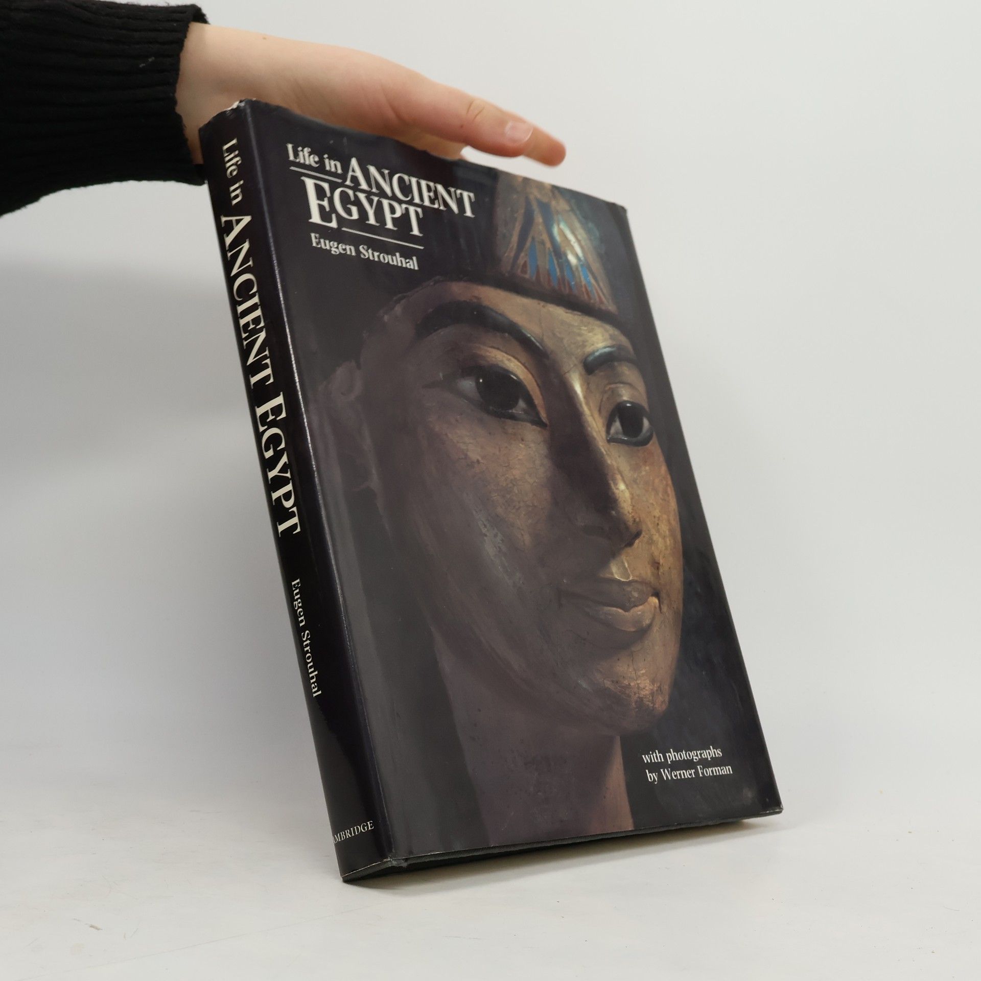 Life in Ancient Egypt