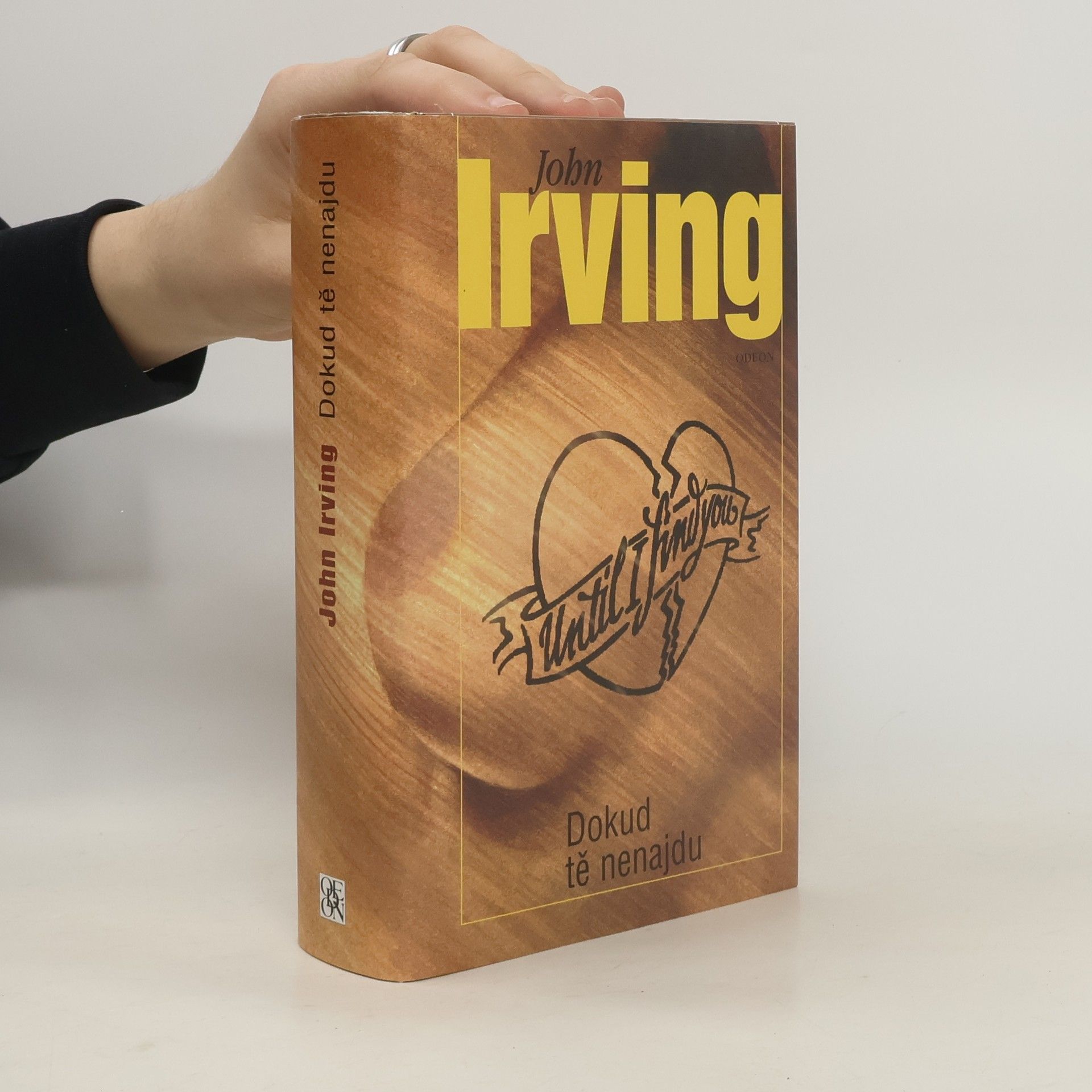 John Irving Dokud tě nenajdu