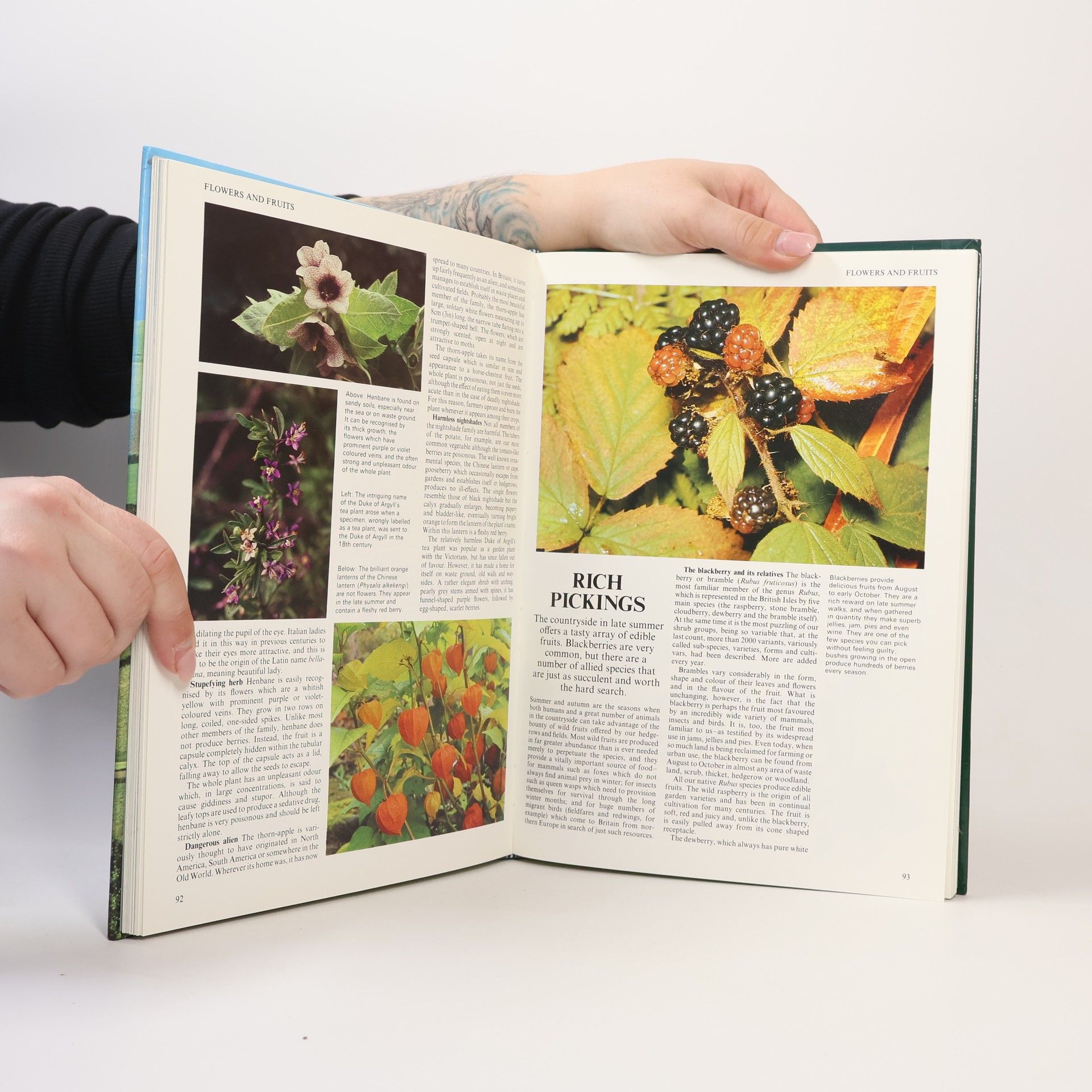 Various authors The Patchwork Landscape