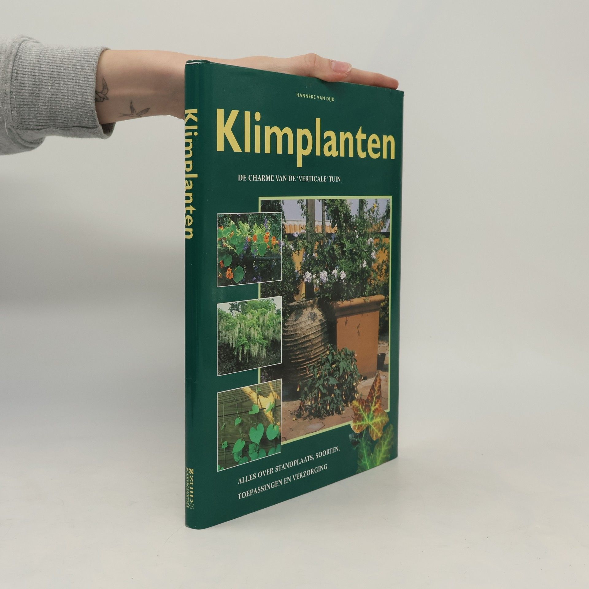 Klimplanten