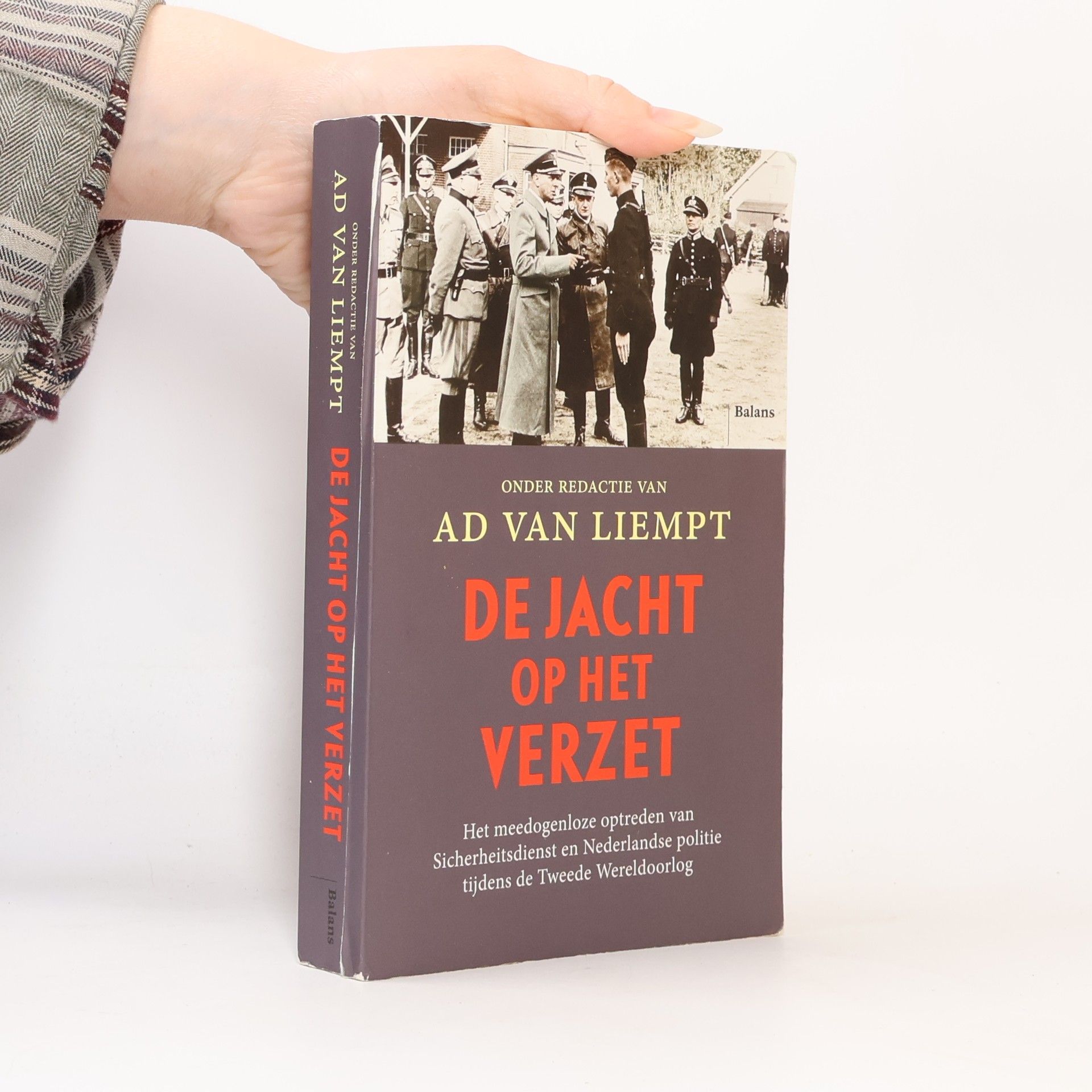 De jacht op het verzet