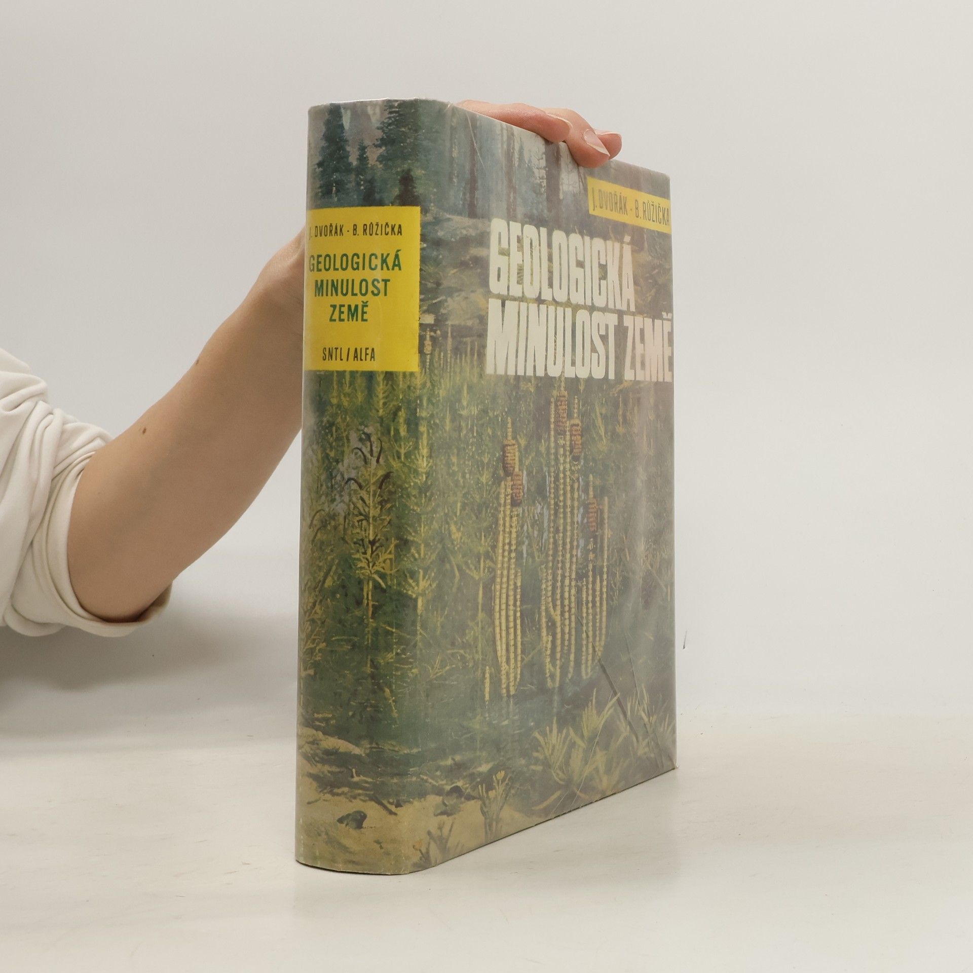 Růžička Bohuslav Dvořák Josef Geologická minulost země