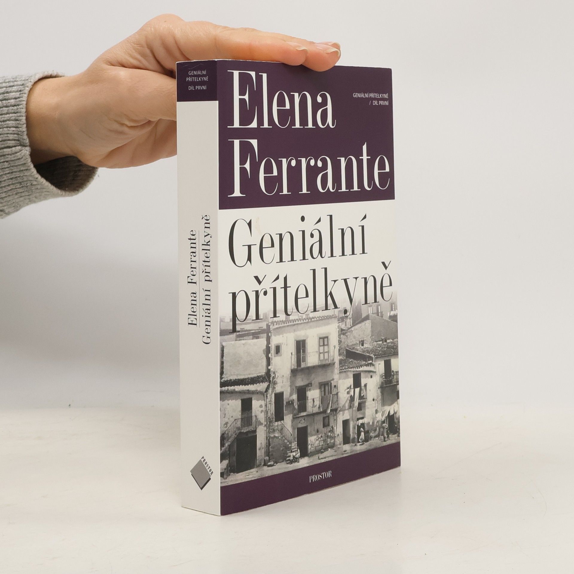 Elena Ferrante Geniální přítelkyně 1. Dětství a dospívání