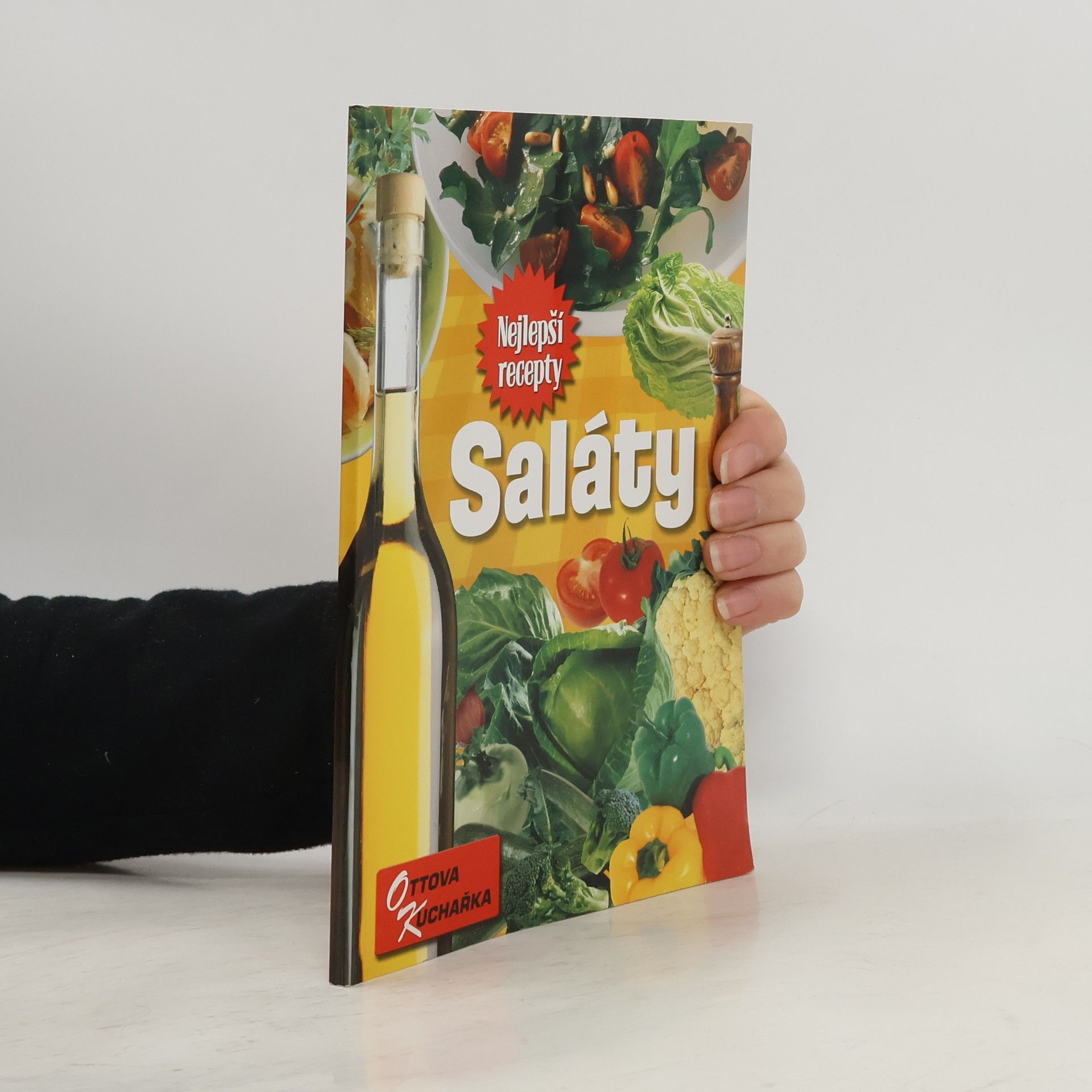 Autorenkollektiv Saláty. Nejlepší recepty