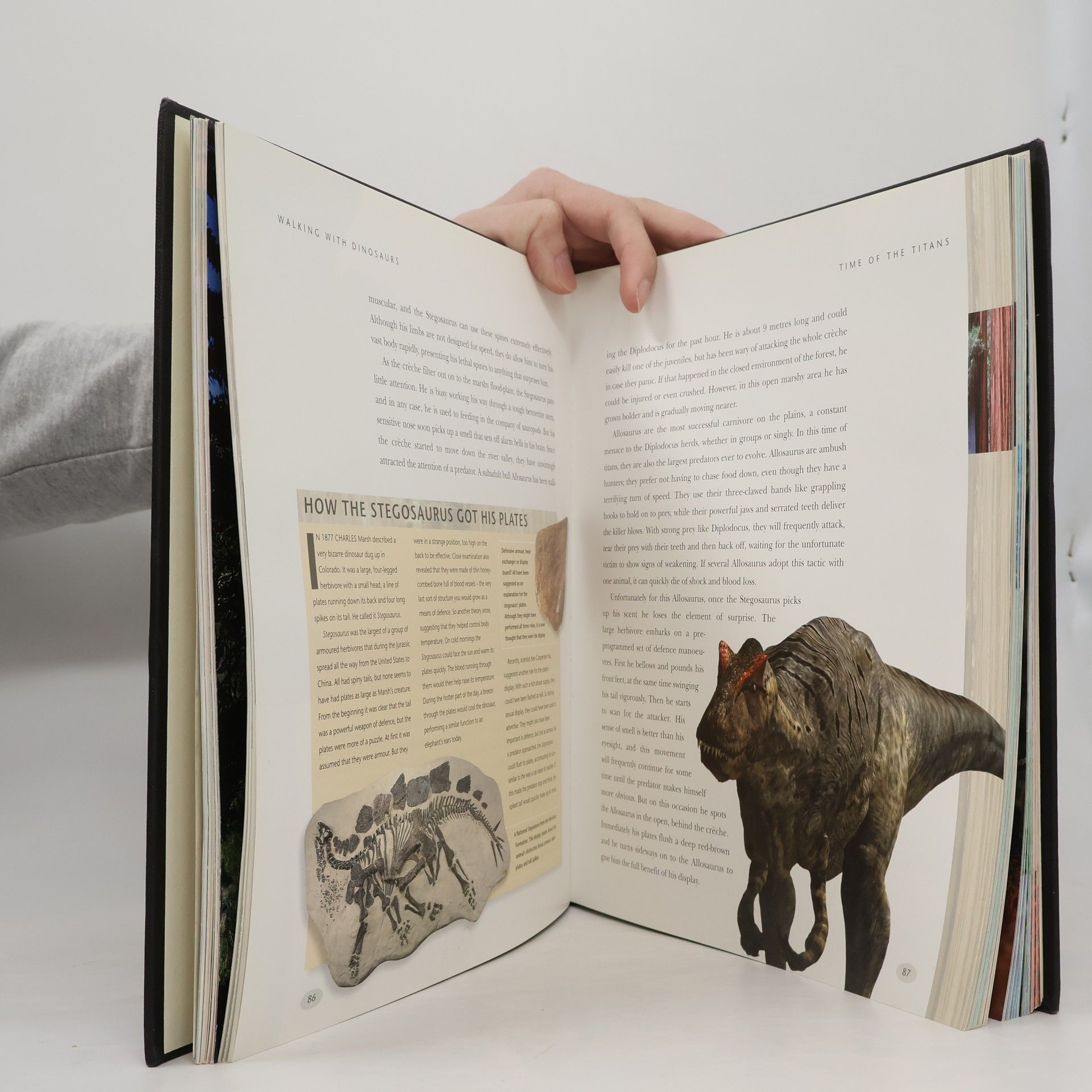 Tim Haines Walking with Dinosaurs