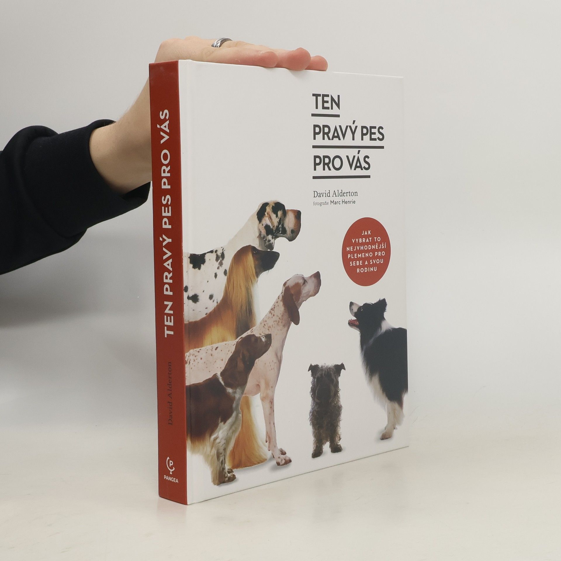 Kateřina Drewsová Ten pravý pes pro vás : jak vybrat to nejvhodnější plemeno pro sebe a svou rodinu