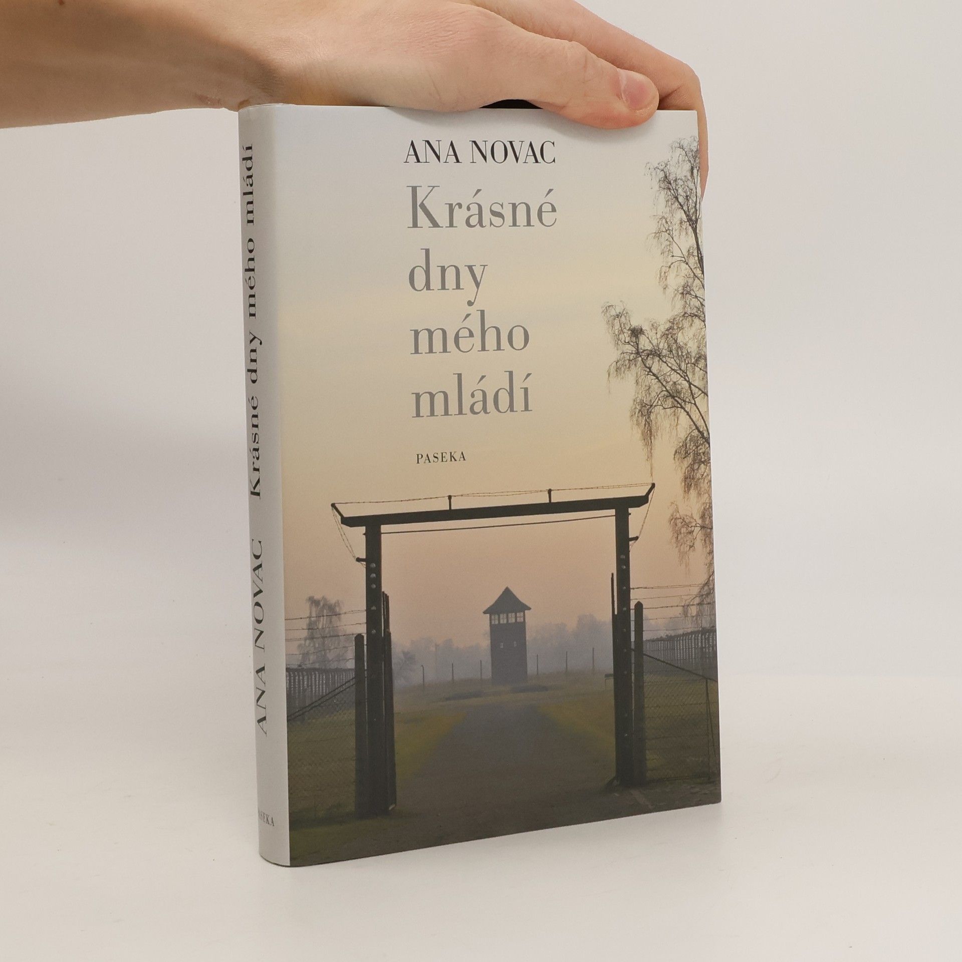 Ana Novac Krásné dny mého mládí