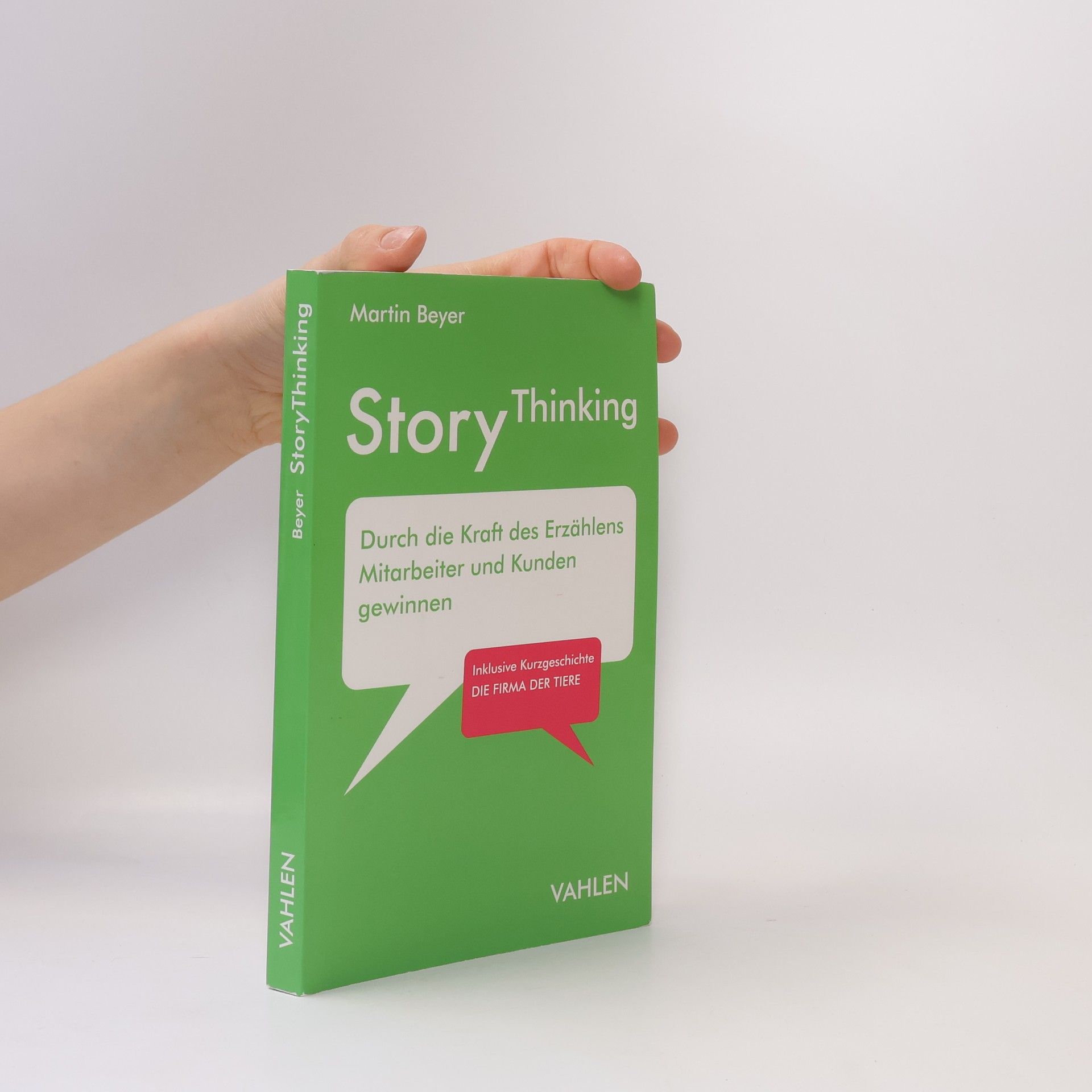 Martin Beyer StoryThinking