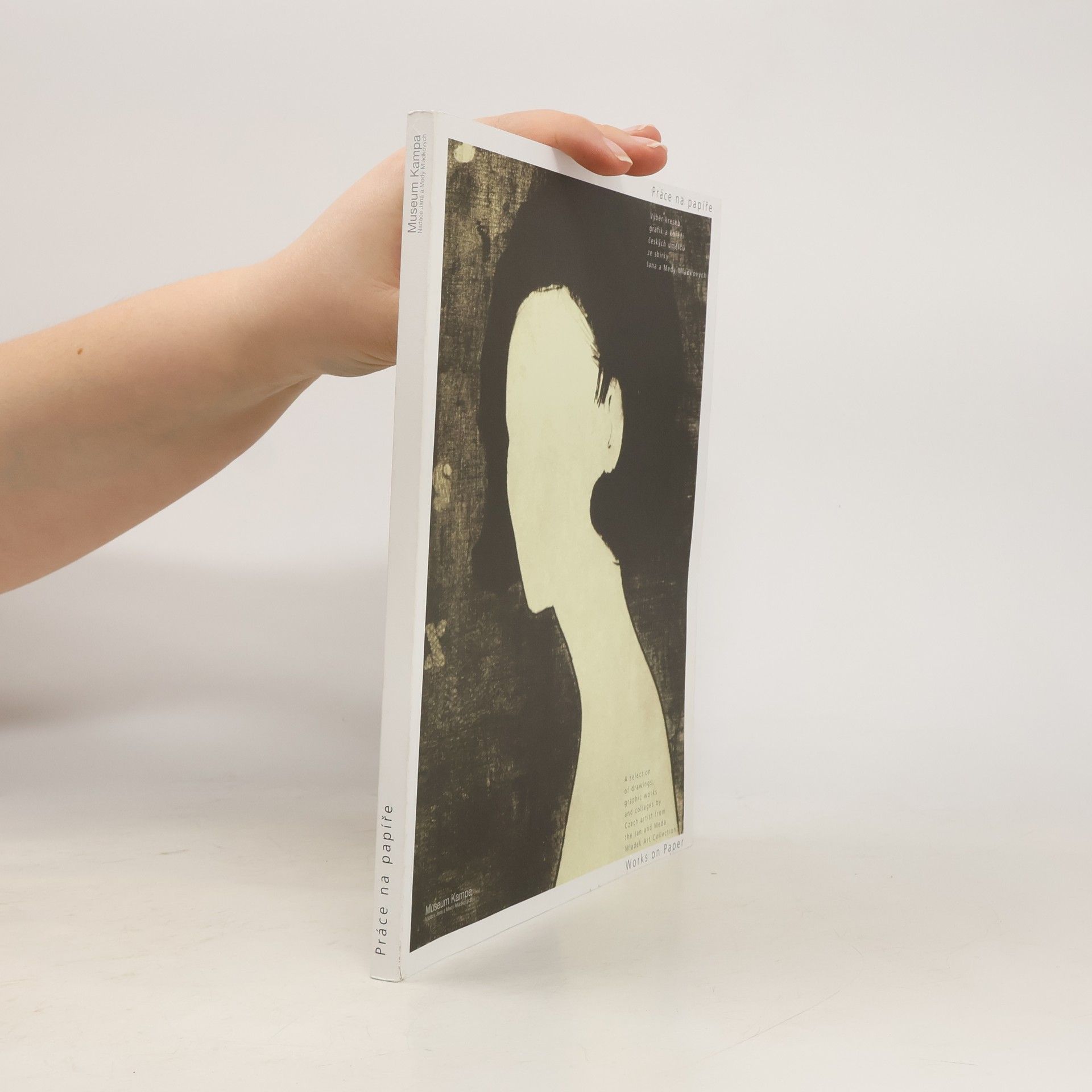 Jiří Machalický Práce na papíře