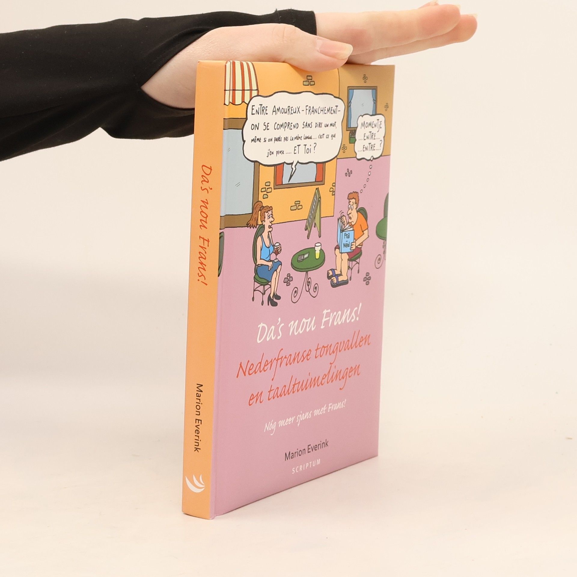 Marion Everink Da's nou Frans Nederfranse tongvallen en taaltuimelingen Nog meer sjans met Frans