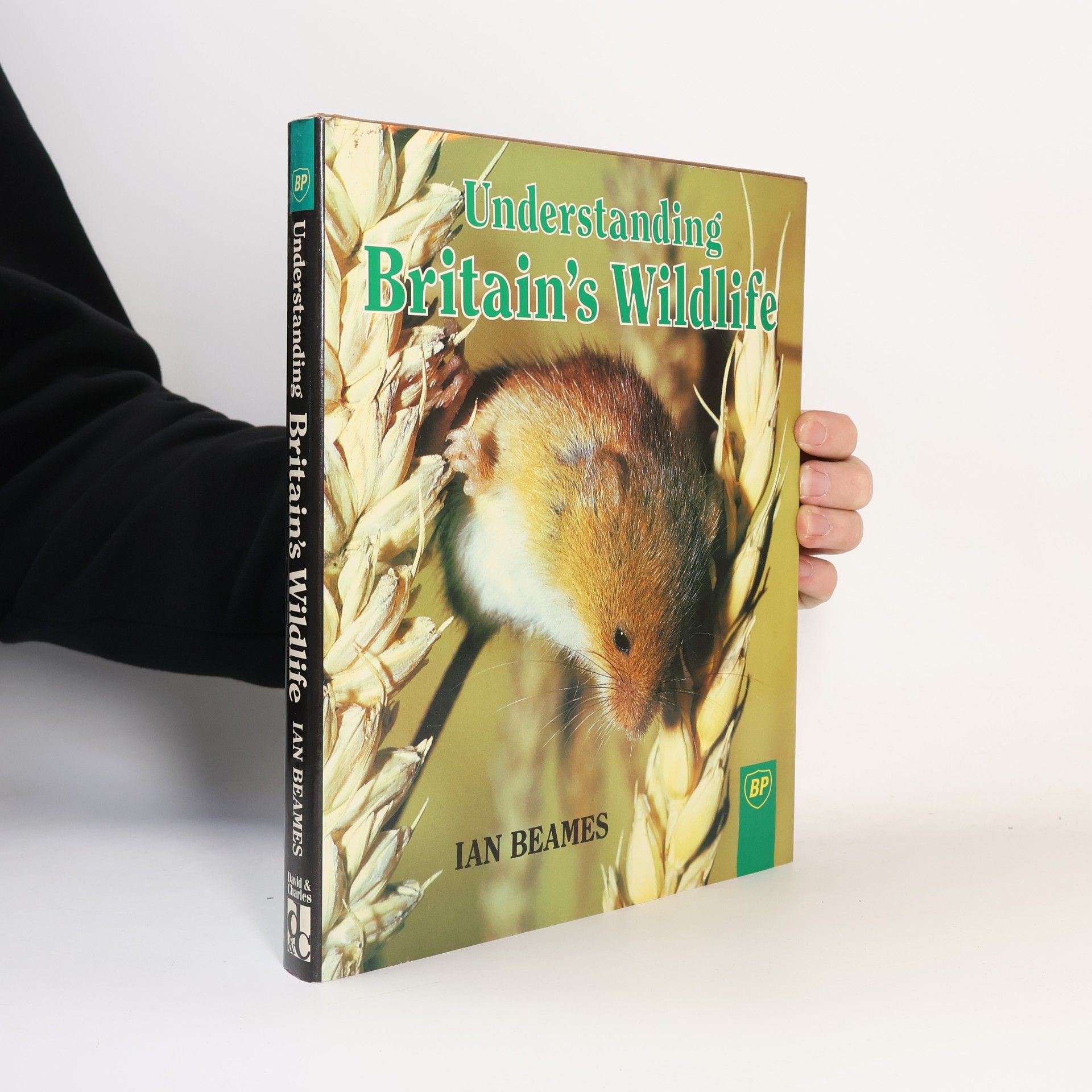 Ian Beames Understanding Britain's Wildlife