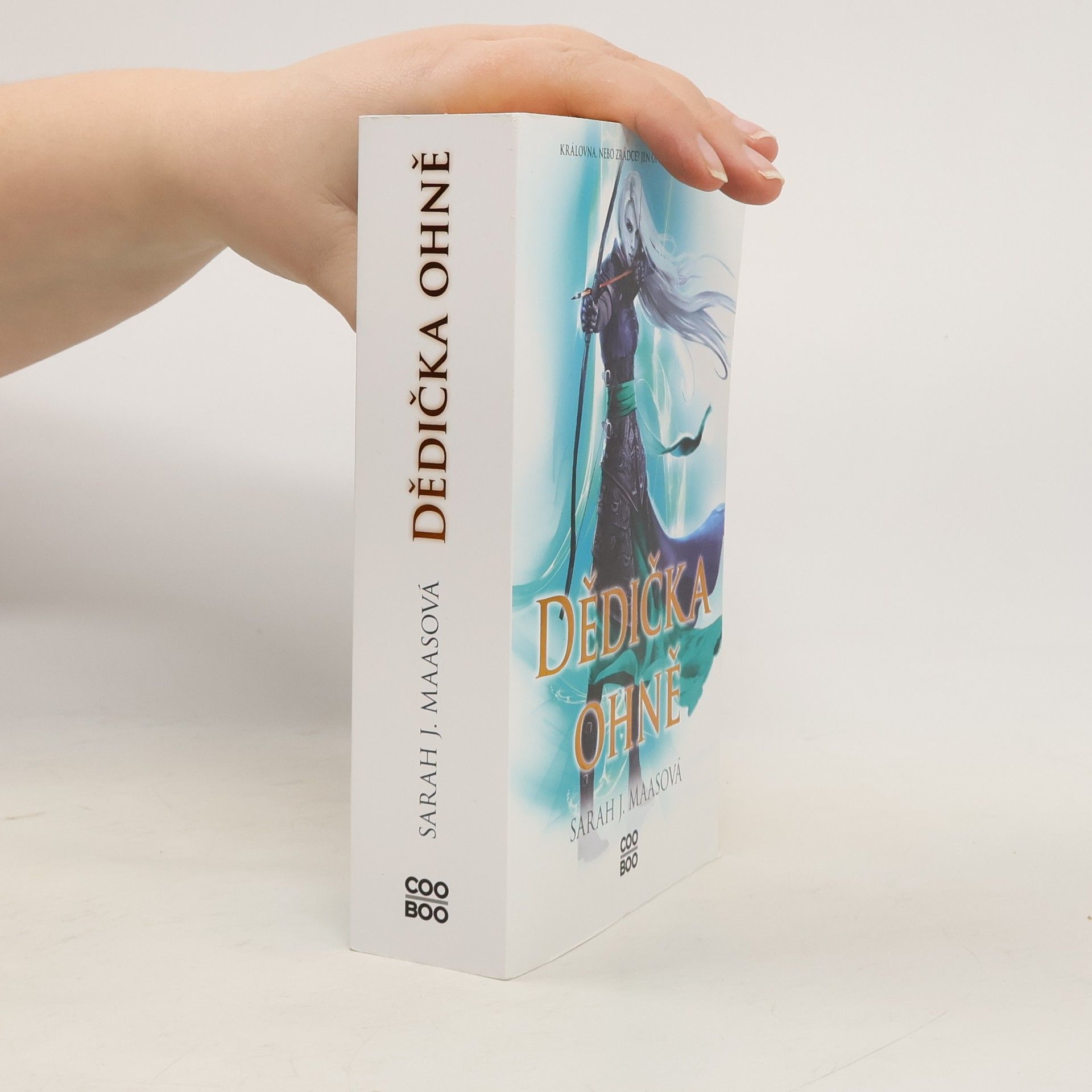 Sarah J. Maas Dědička ohně