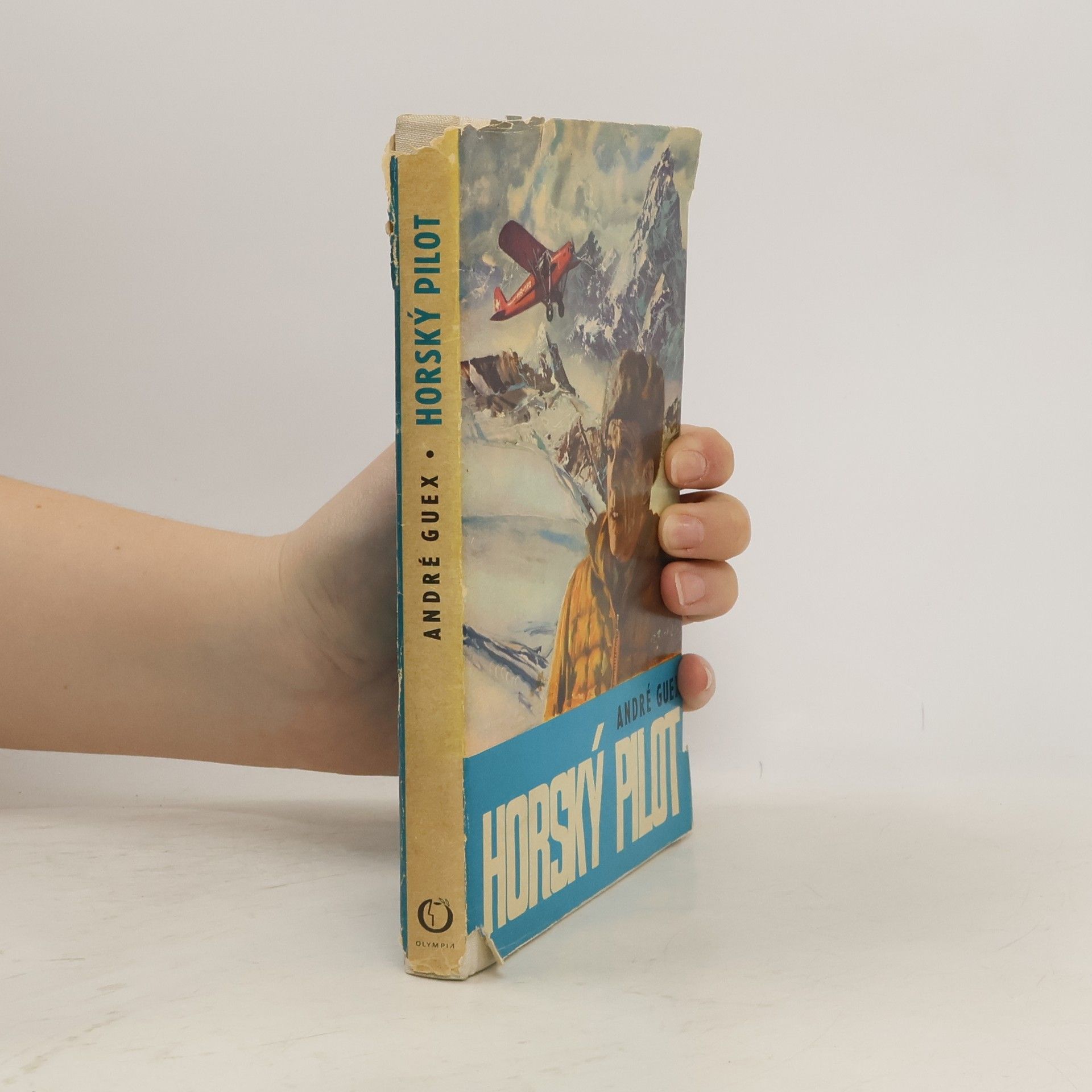 Melanie Rybárová Horský pilot