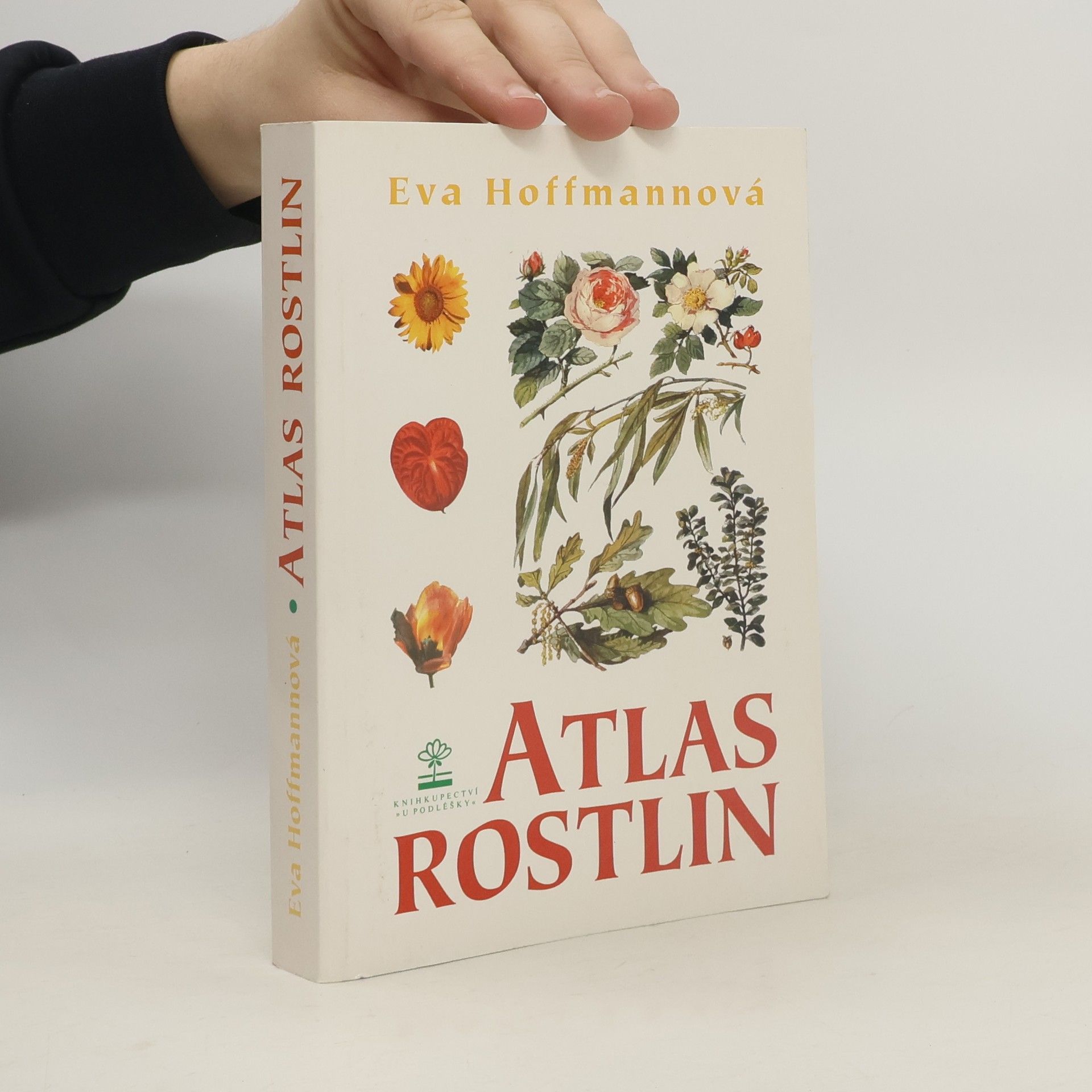 Eva H. Hoffmann Atlas rostlin