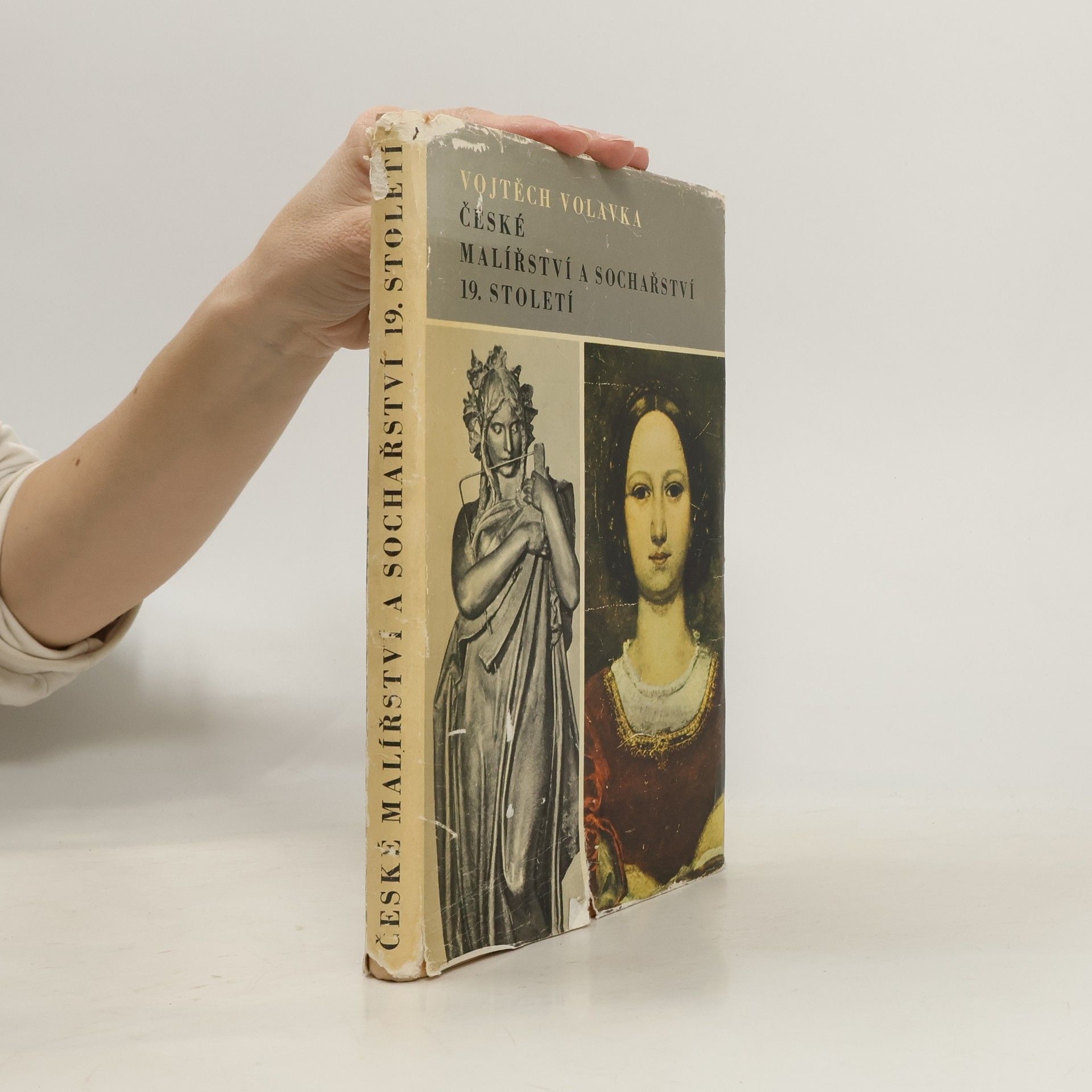 Vojtěch Volavka České malířství a sochařství 19. století