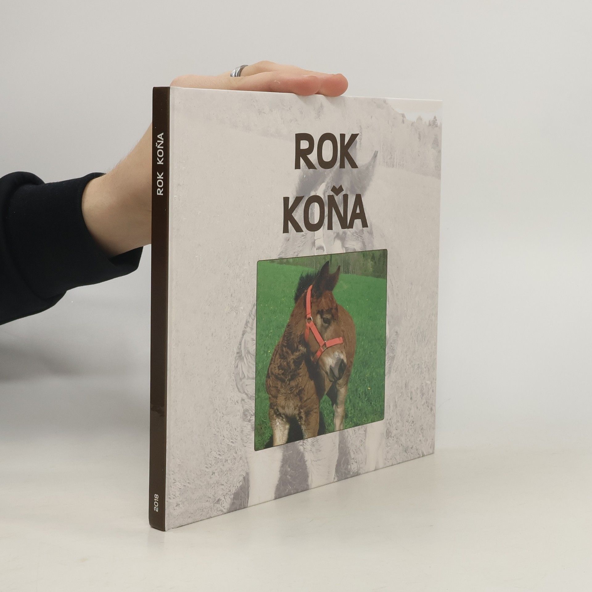 Collectif d'auteurs Rok koňa