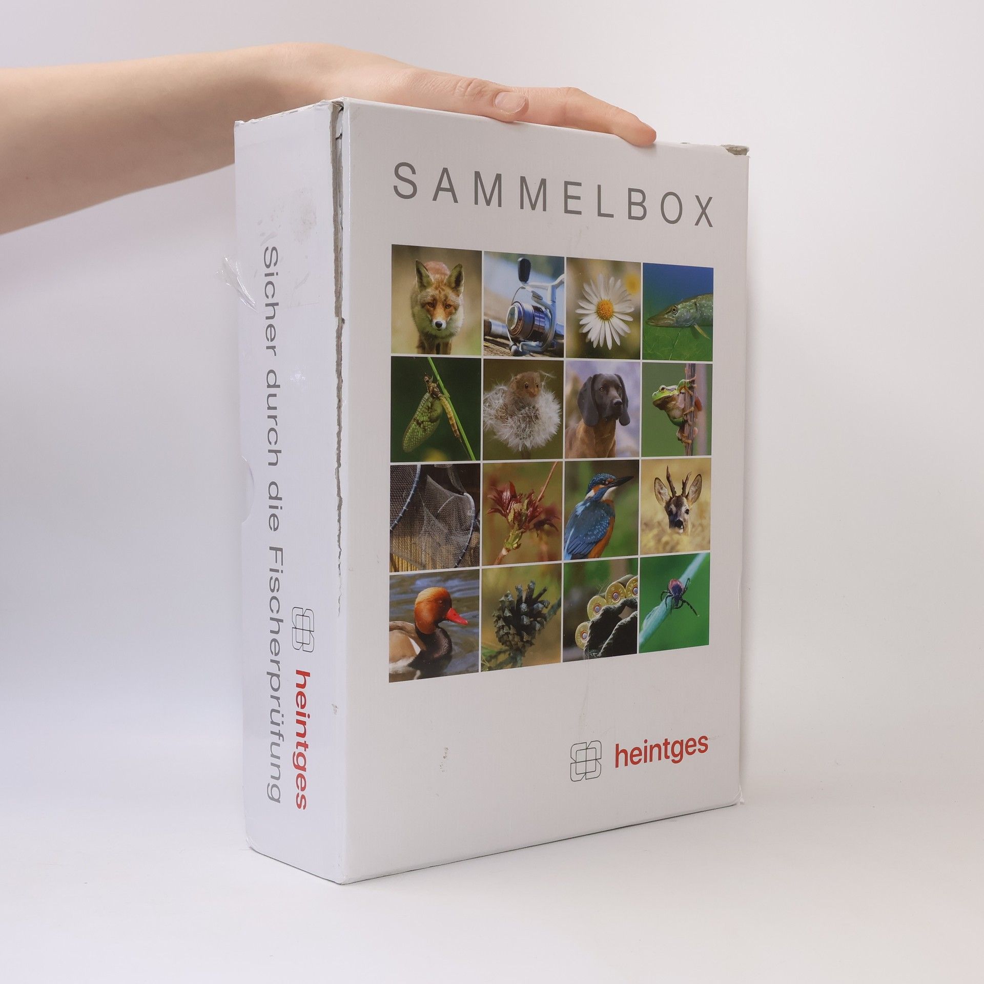 Various authors Sammelbox. Heintges