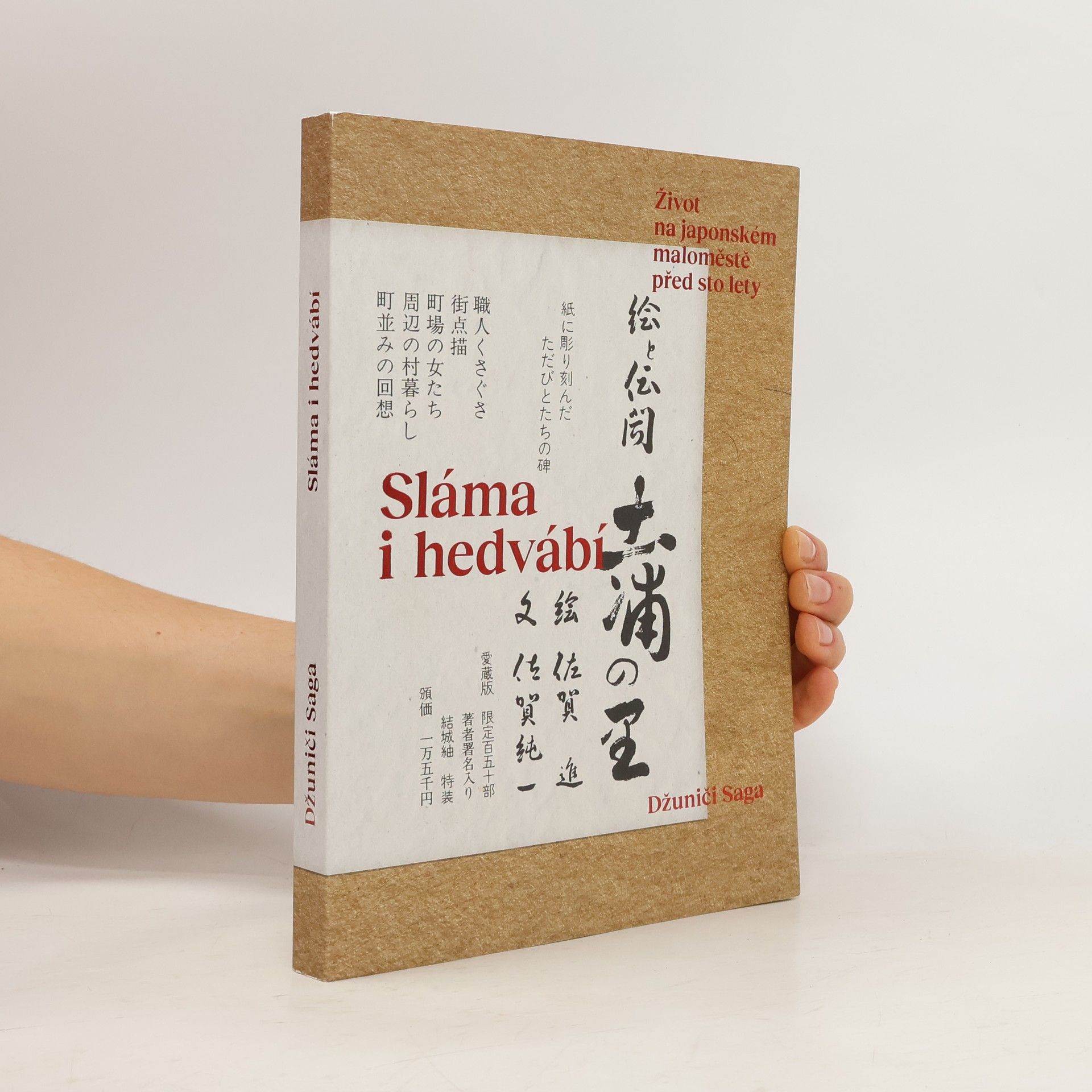 Jun Saga Sláma i hedvábí: Život na japonském maloměstě před sto lety
