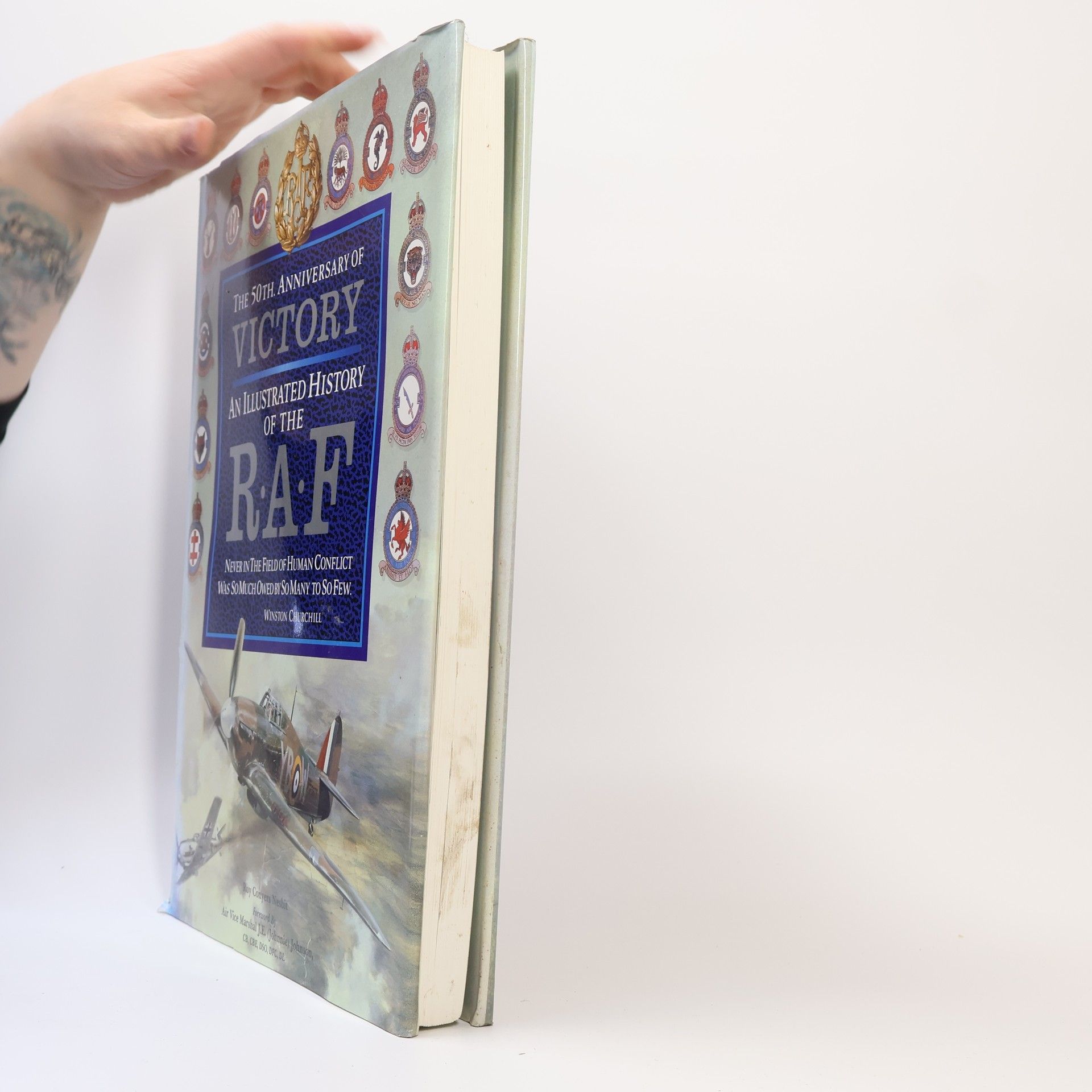 Roy Conyers Nesbit An Illustrated History of the RAF