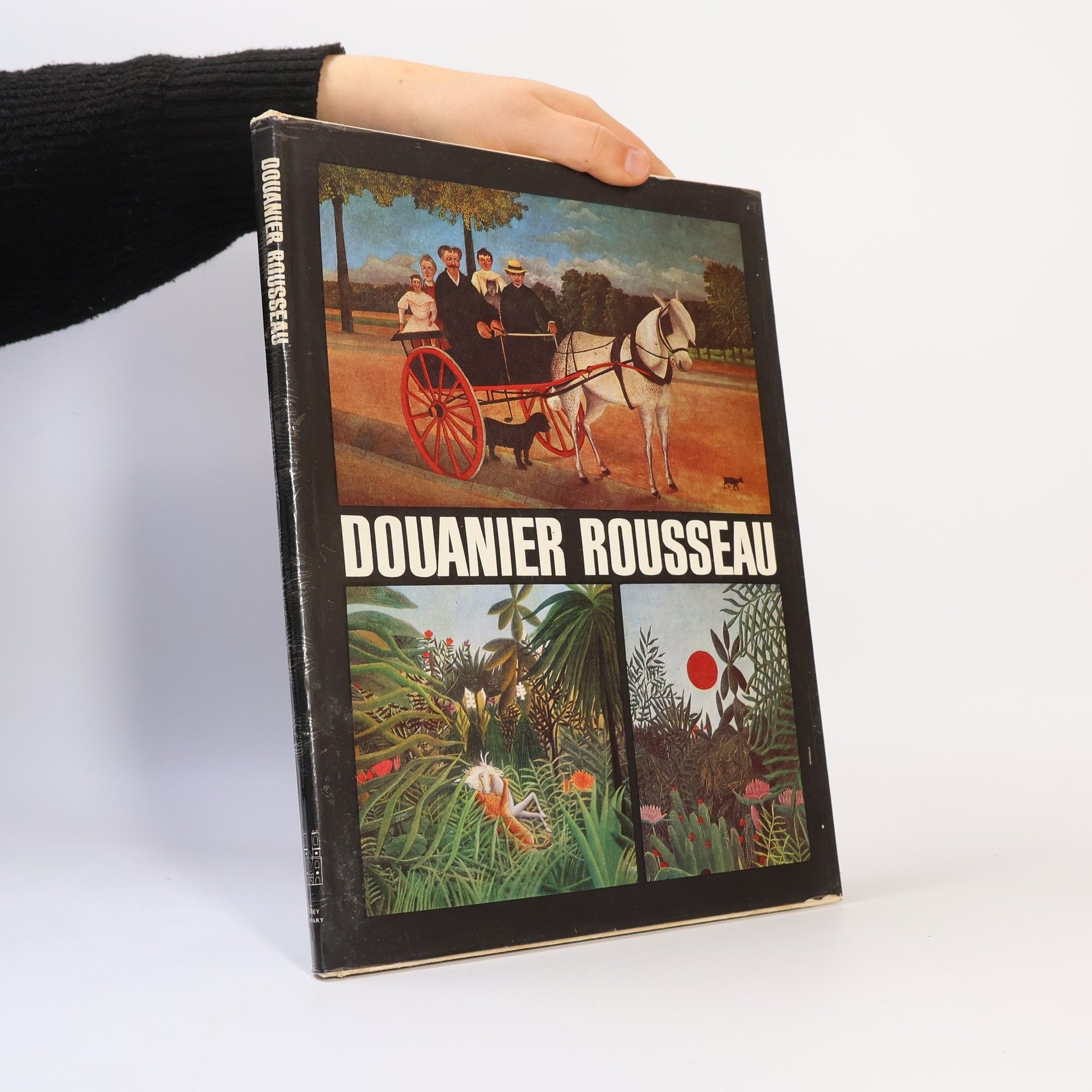 Kolektív autorov Douanier Rousseau