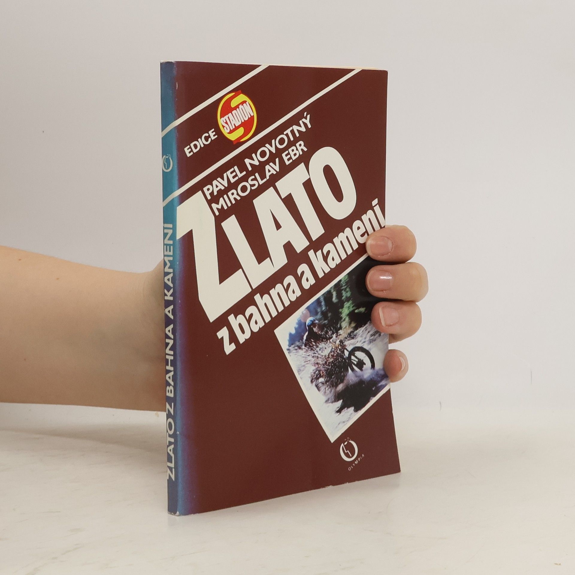 Miroslav Ebr Zlato z bahna a kamení