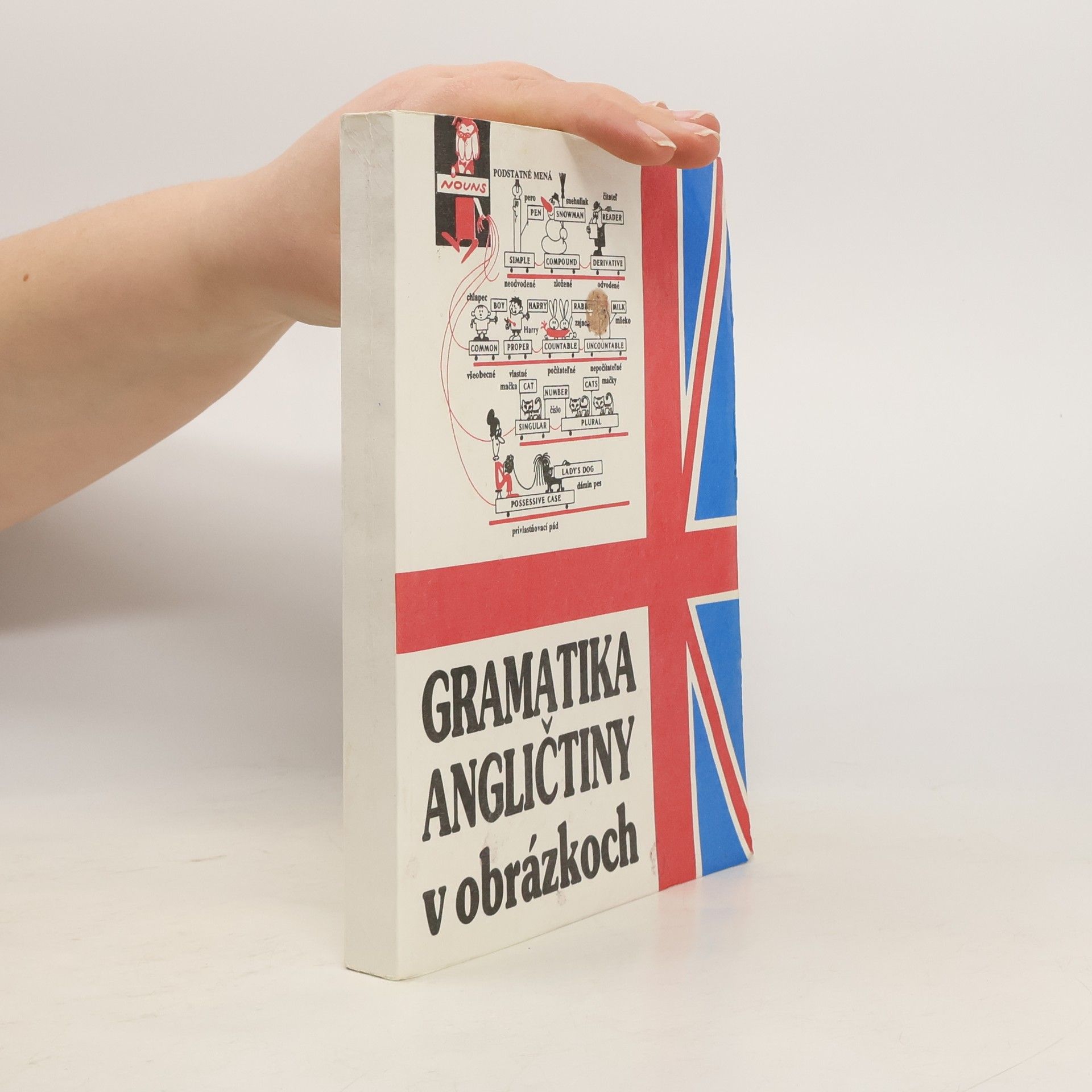 Mark Isaakovič Dubrovin Gramatika angličtiny v obrázkoch