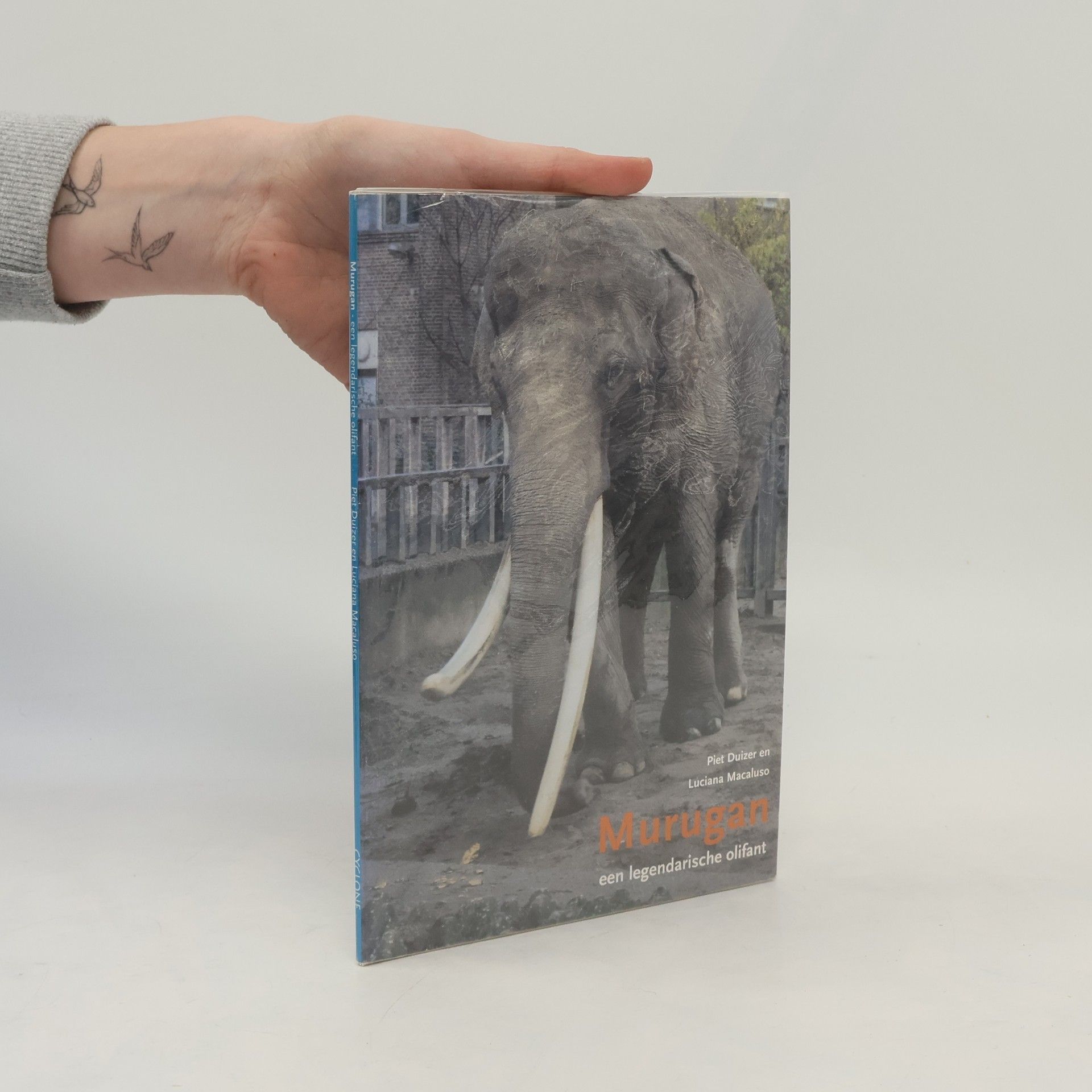 Luciana Macaluso Murugan