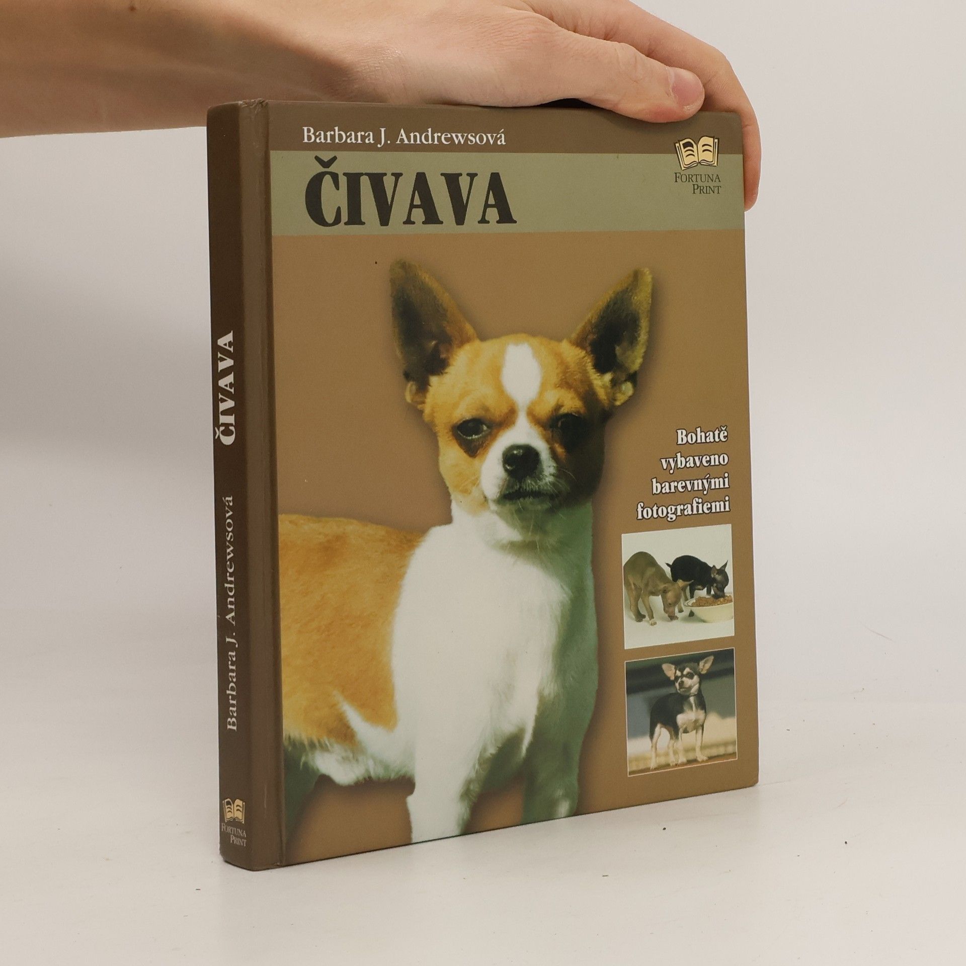 Barbara J. Andrews Čivava