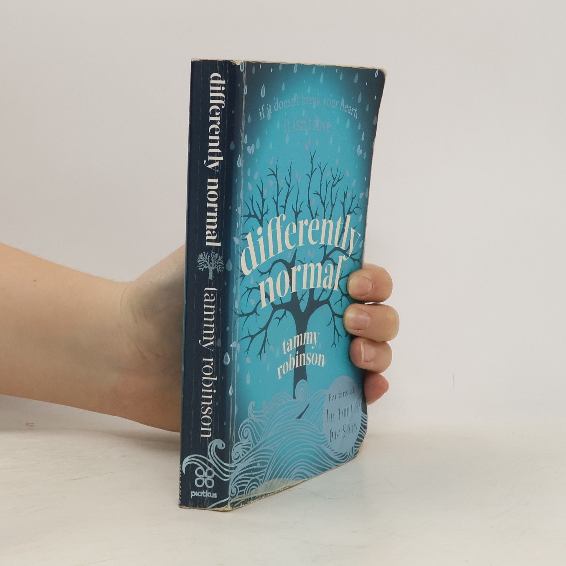 Tammy Robinson Differently Normal