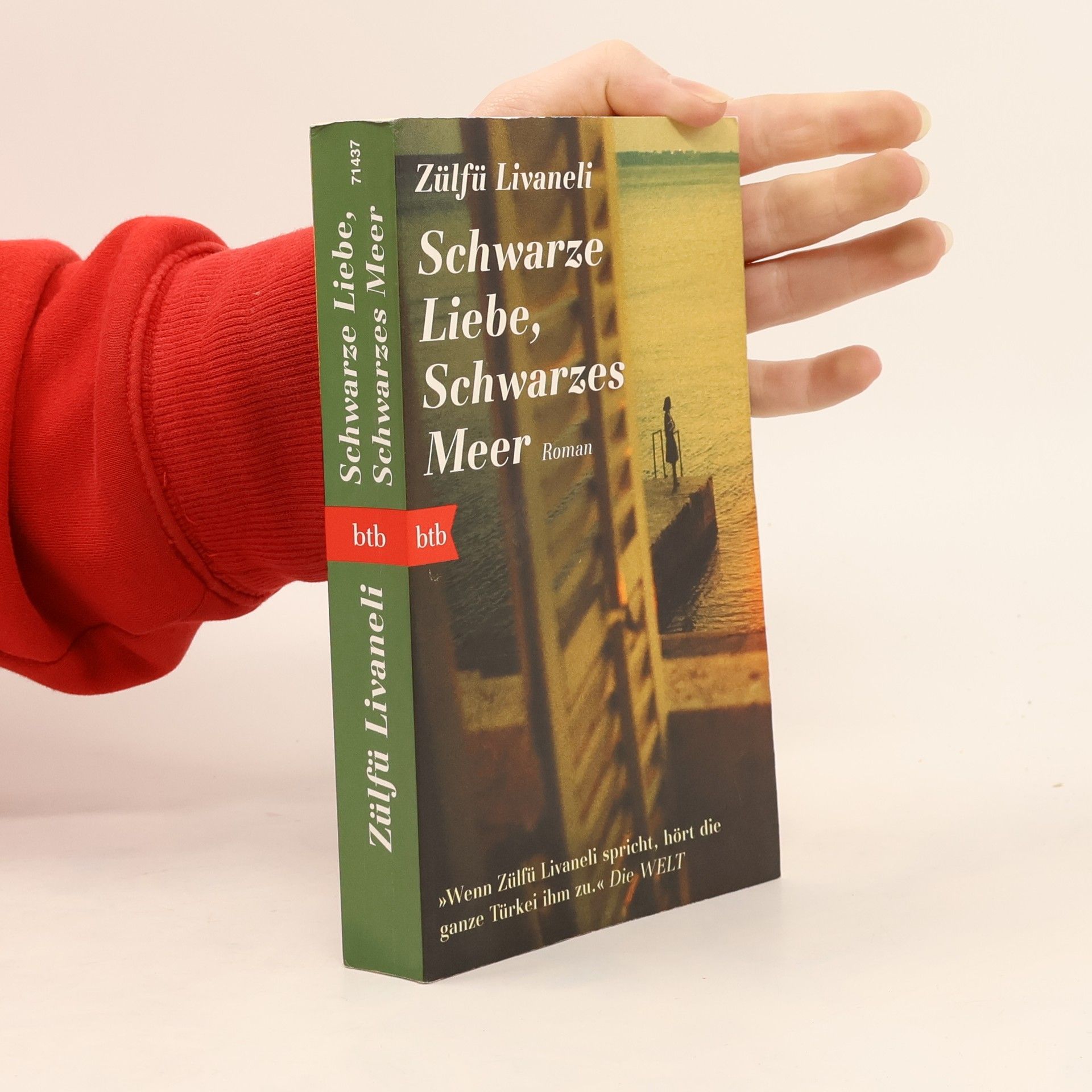 Zülfü Livaneli Schwarze Liebe, Schwarzes Meer