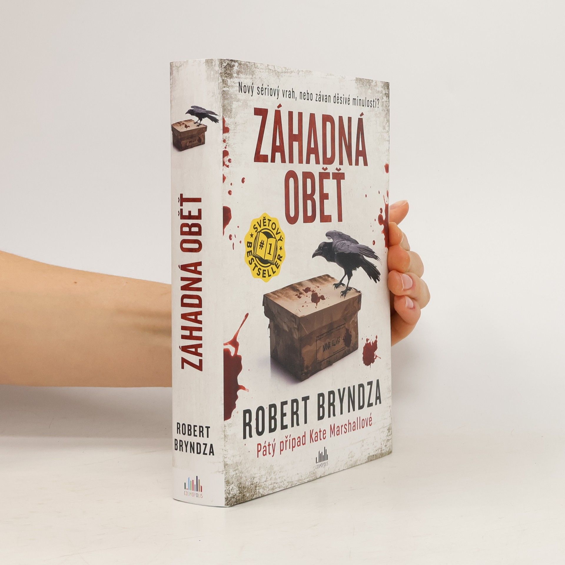 Robert Bryndza Záhadná oběť