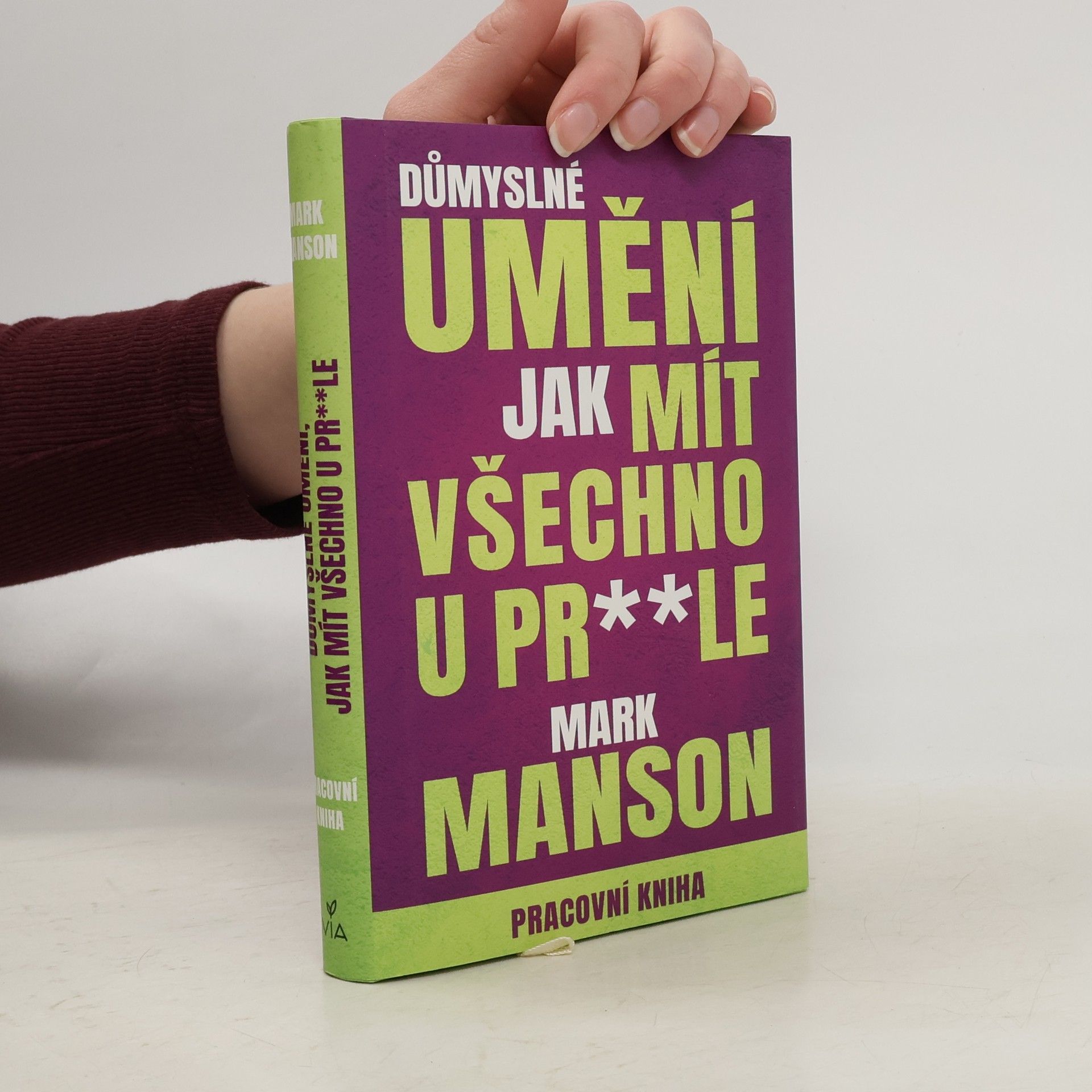 Mark Manson Důmyslné umění jak mít všechno u pr**le. Pracovní kniha
