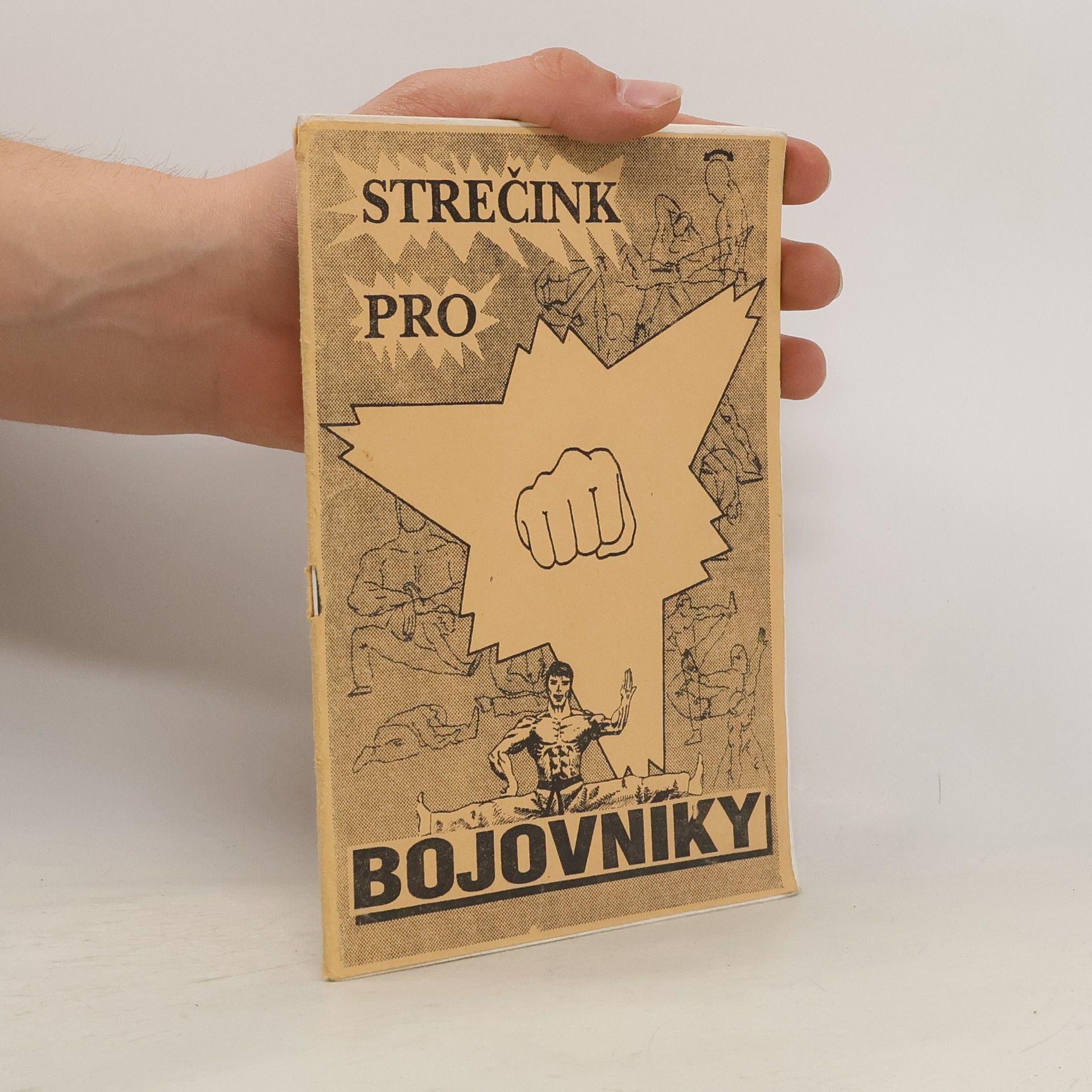 Dagmar Horáčková Kompenzační cvičení a strečink pro bojovníky