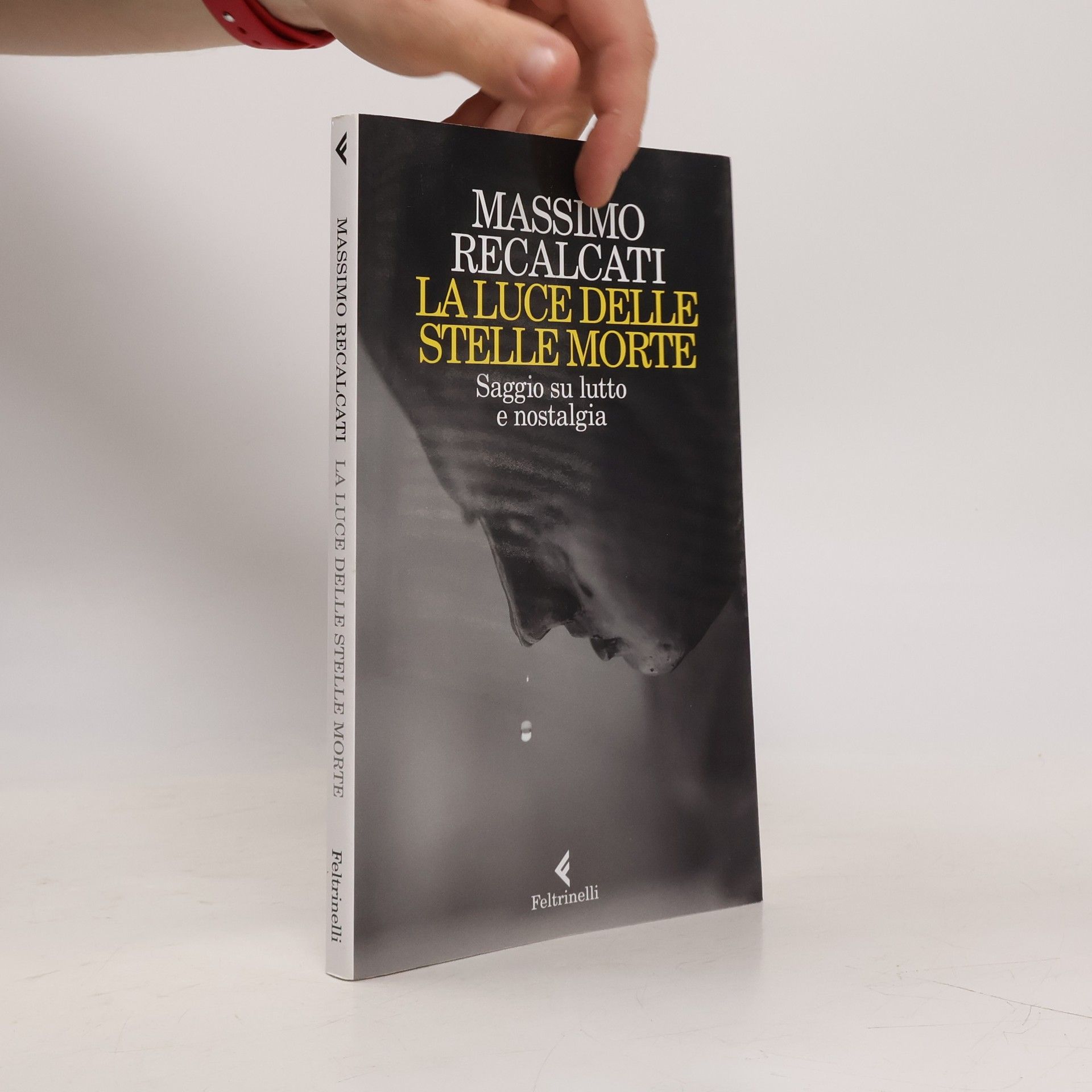 Massimo Recalcati La luce delle stelle morte. Saggio su lutto e nostalgia