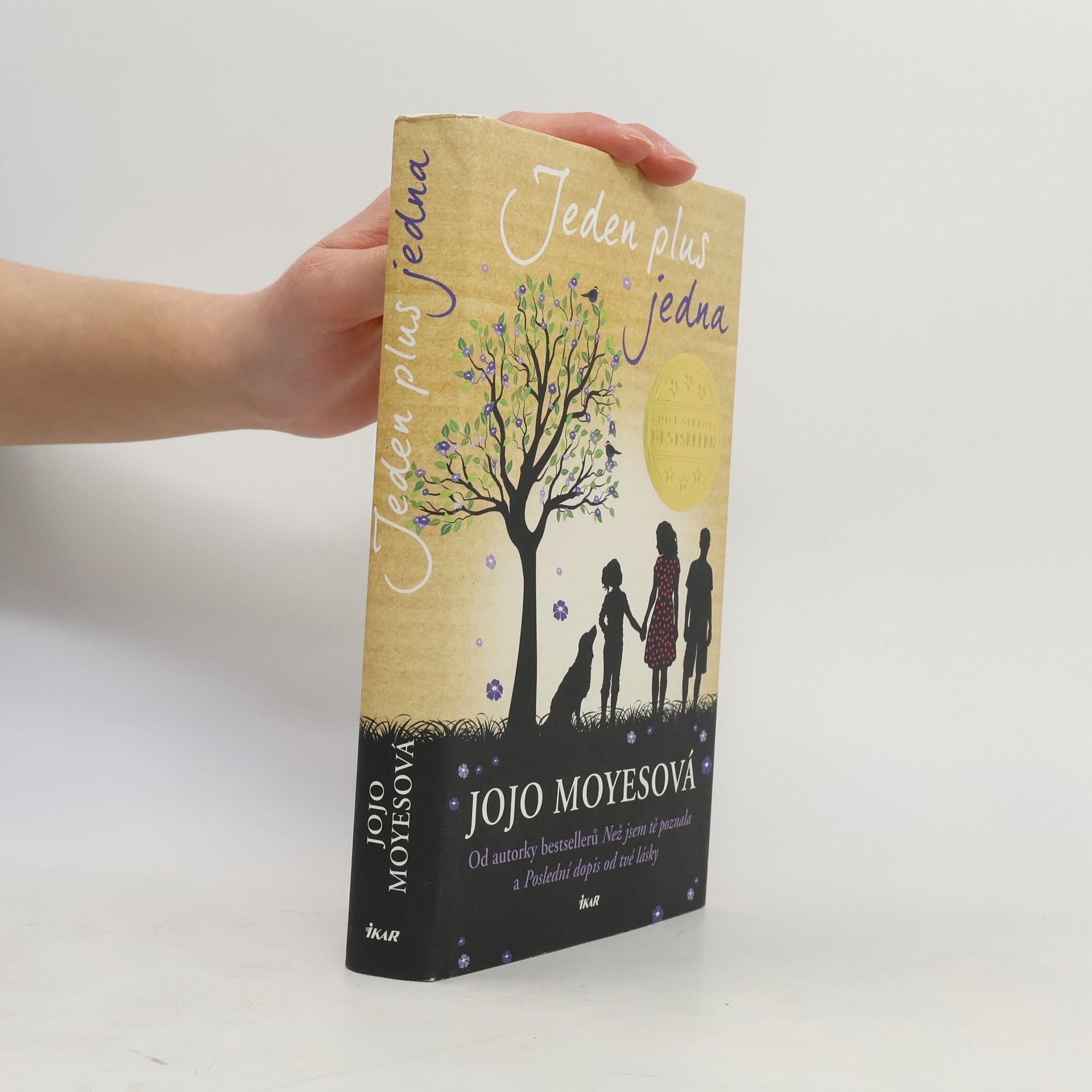 Jojo Moyes Jeden plus jedna