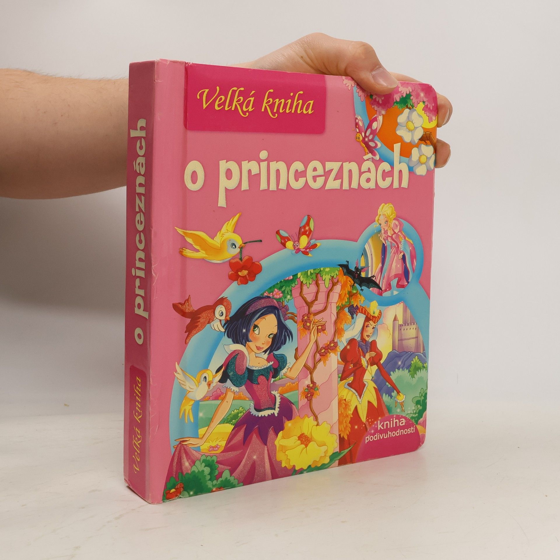 Autores varios Velká kniha o princeznách