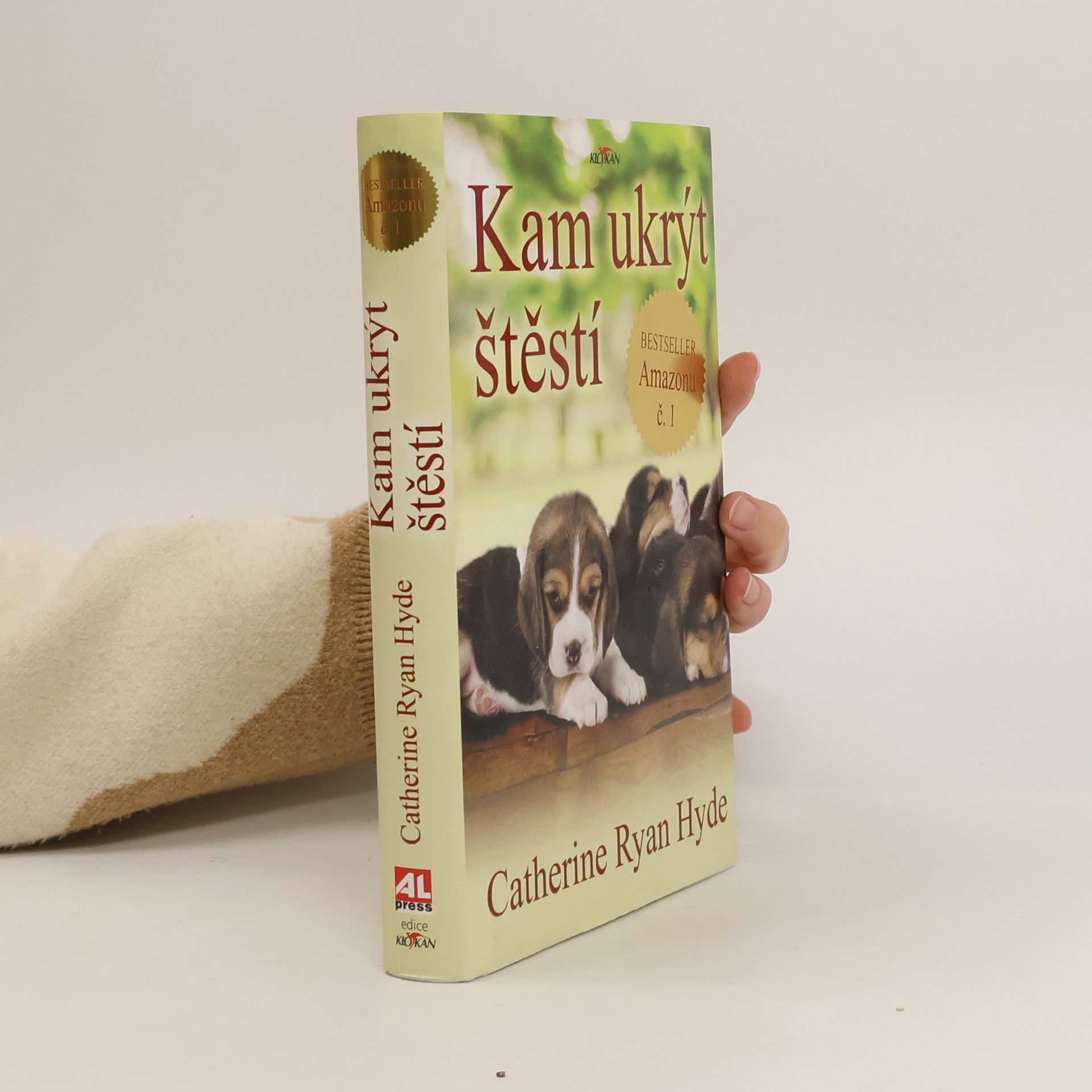 Catherine Ryan Hyde Kam ukrýt štěstí