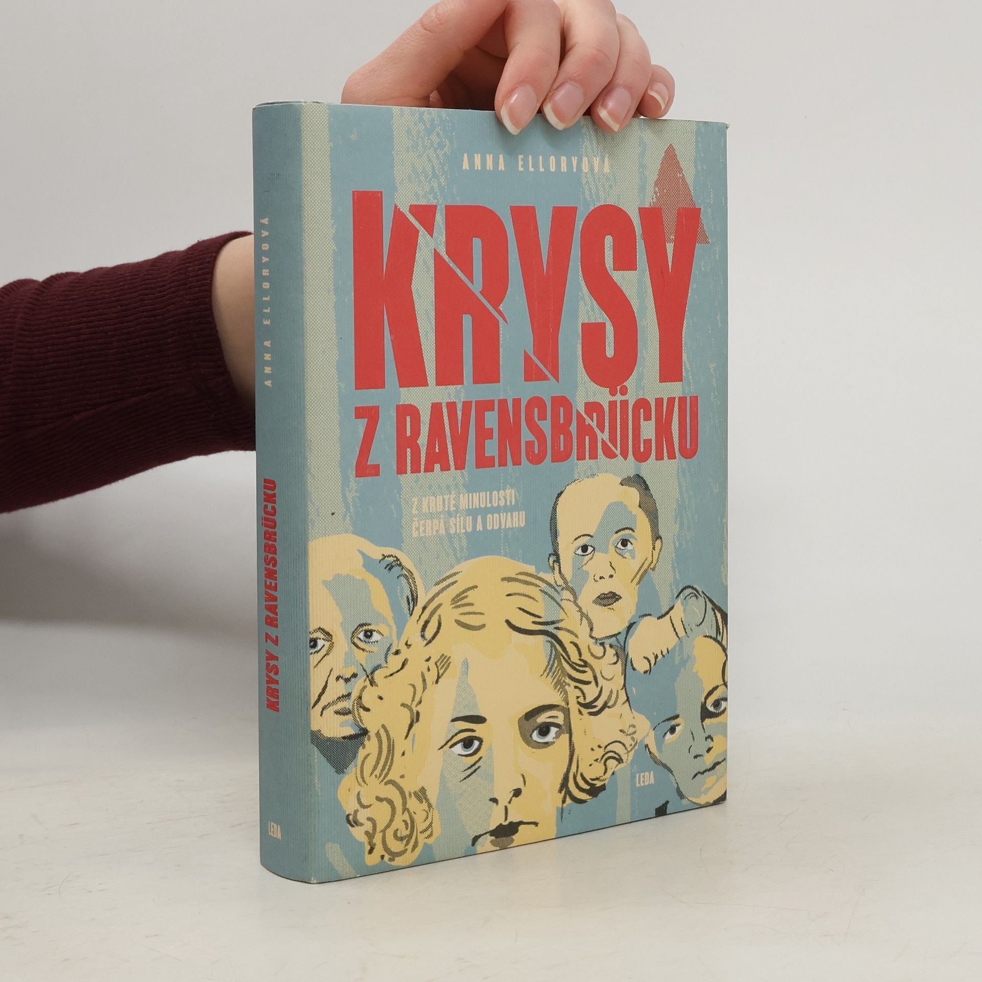 Anna Ellory Krysy z Ravensbrücku