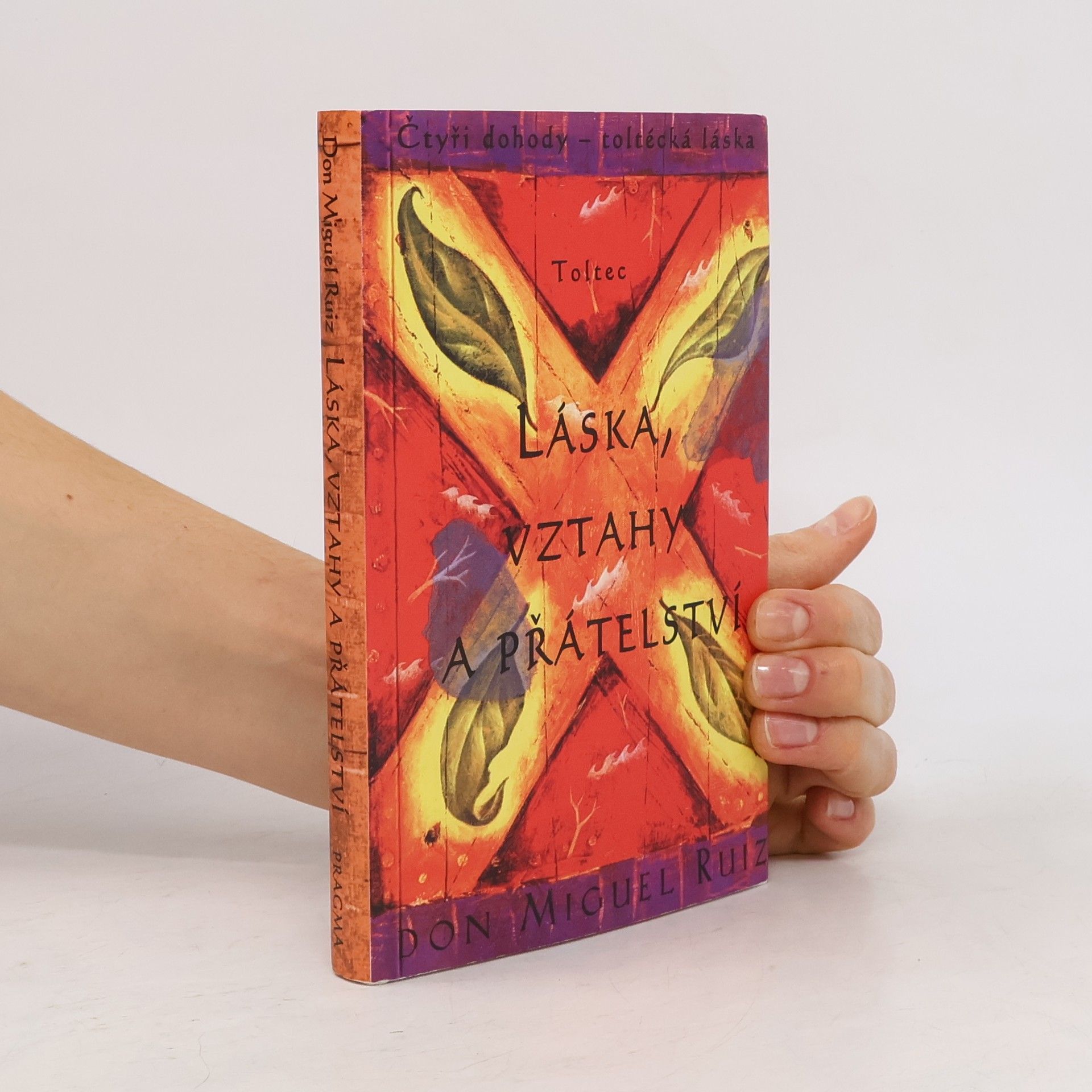 Don Miguel Ruiz Láska, vztahy a přátelství