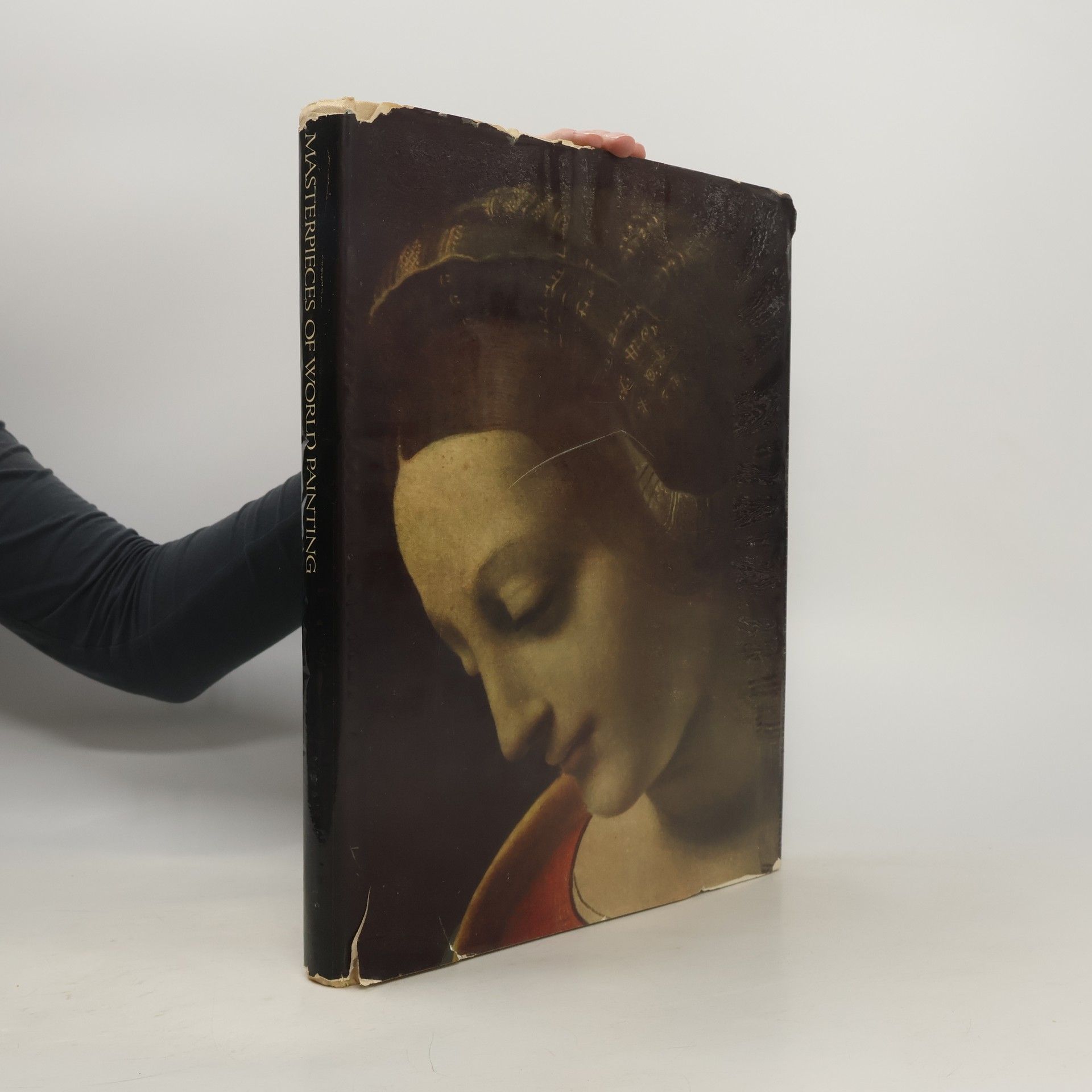 Kolektív autorov Materpieces of World Painting in Museums of the Soviet Union