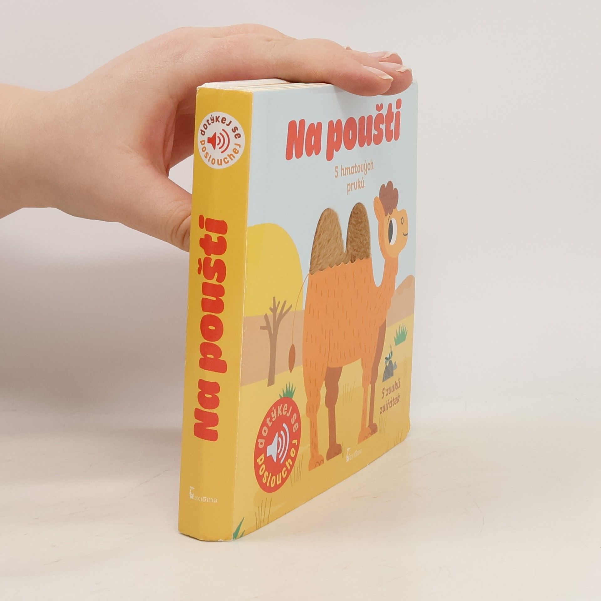 Marion Billet Na poušti - Dotykové a zvukové leporelo